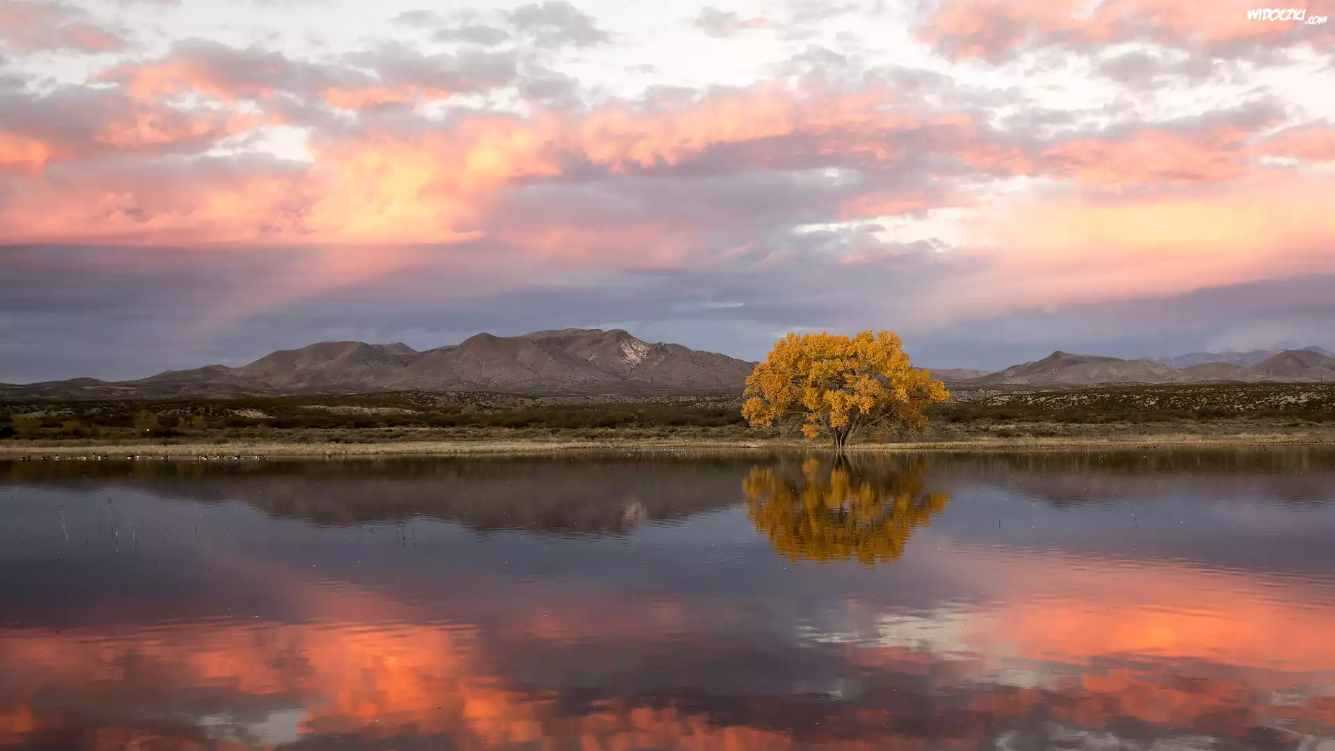 Rzeka Rio Grande, Jesień, Drzewo, Topola kanadyjska, Rezerwat przyrody, Bosque Del Apache, Góry, Wschód słońca, Nowy Meksyk, Stany Zjednoczone