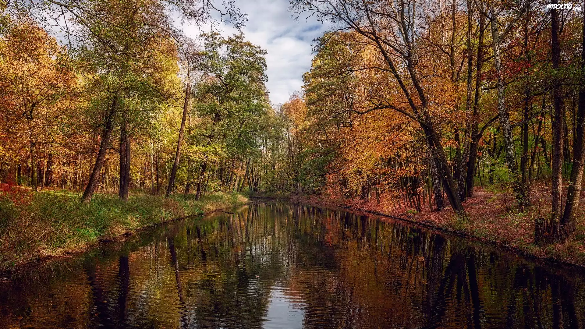Jesień, Rzeka, Kolorowe, Drzewa, Park