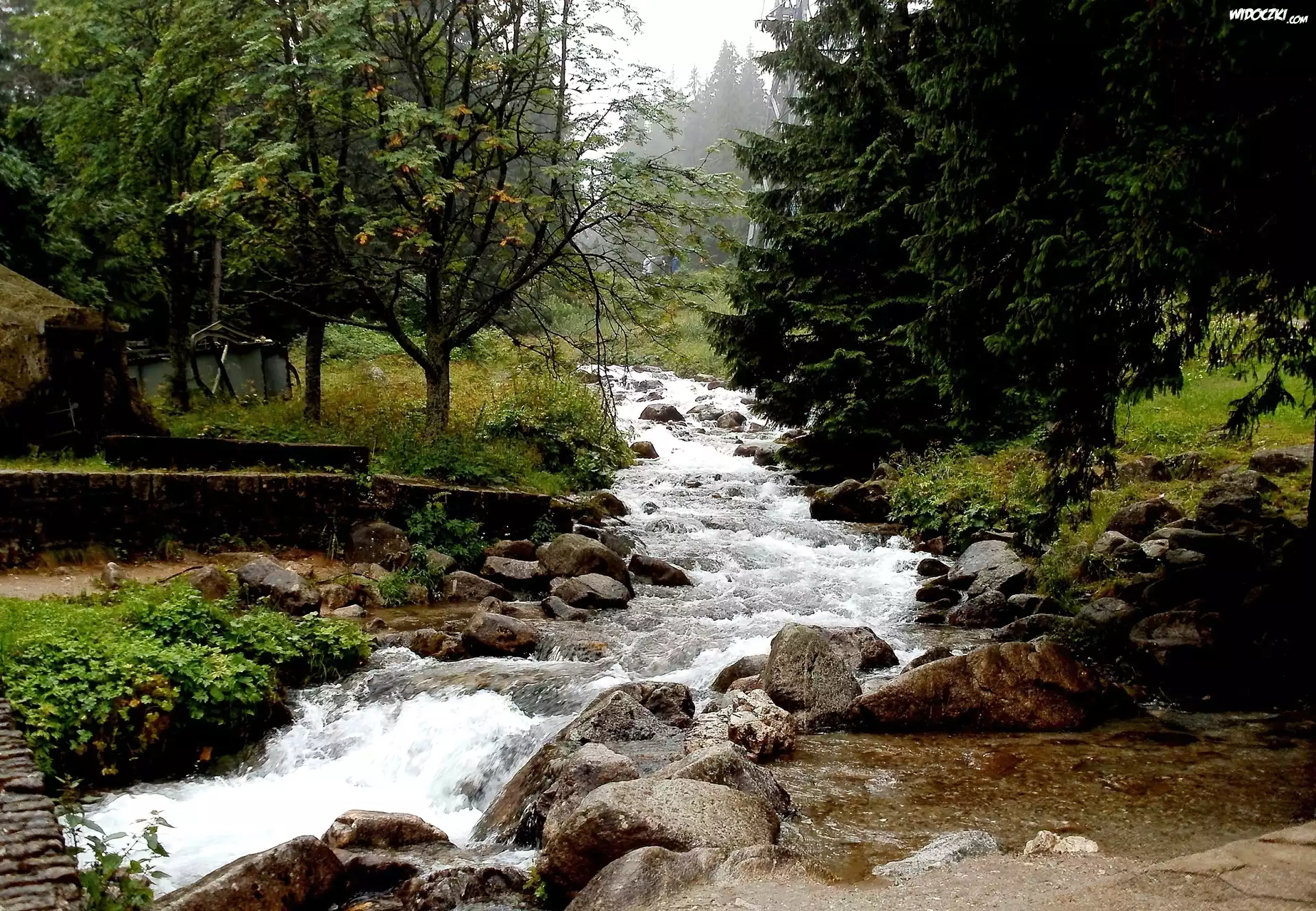 Las, Rzeka, Kamienie