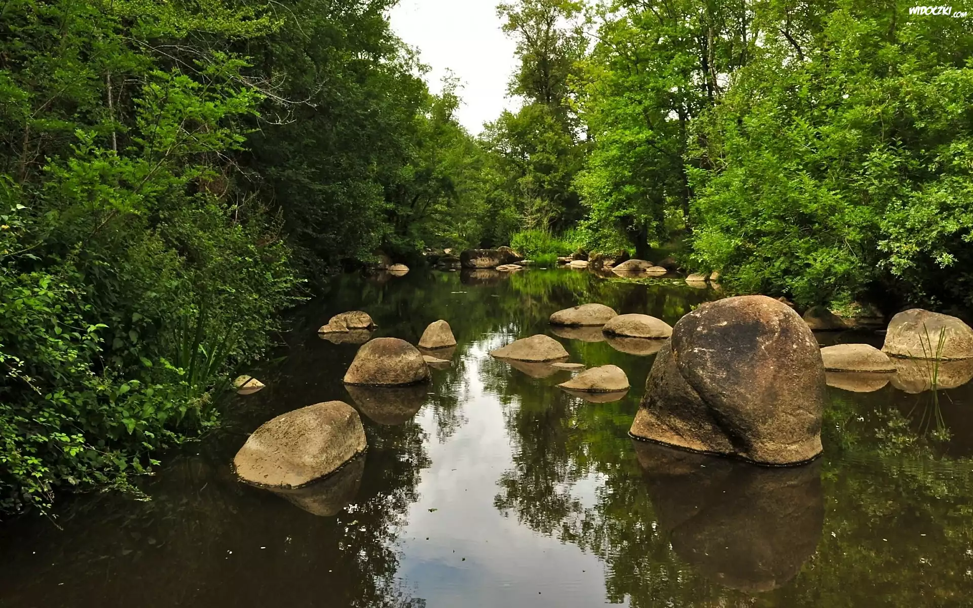 Las, Rzeka, Kamienie