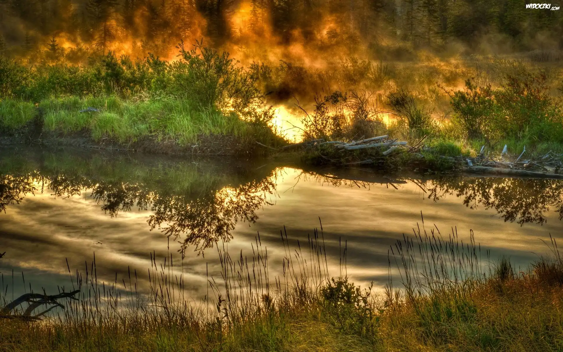 Las, Rzeka, Ogień