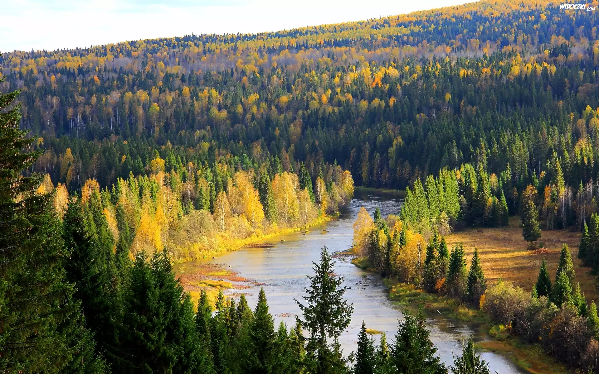 Las, Rzeka, Wzgórza