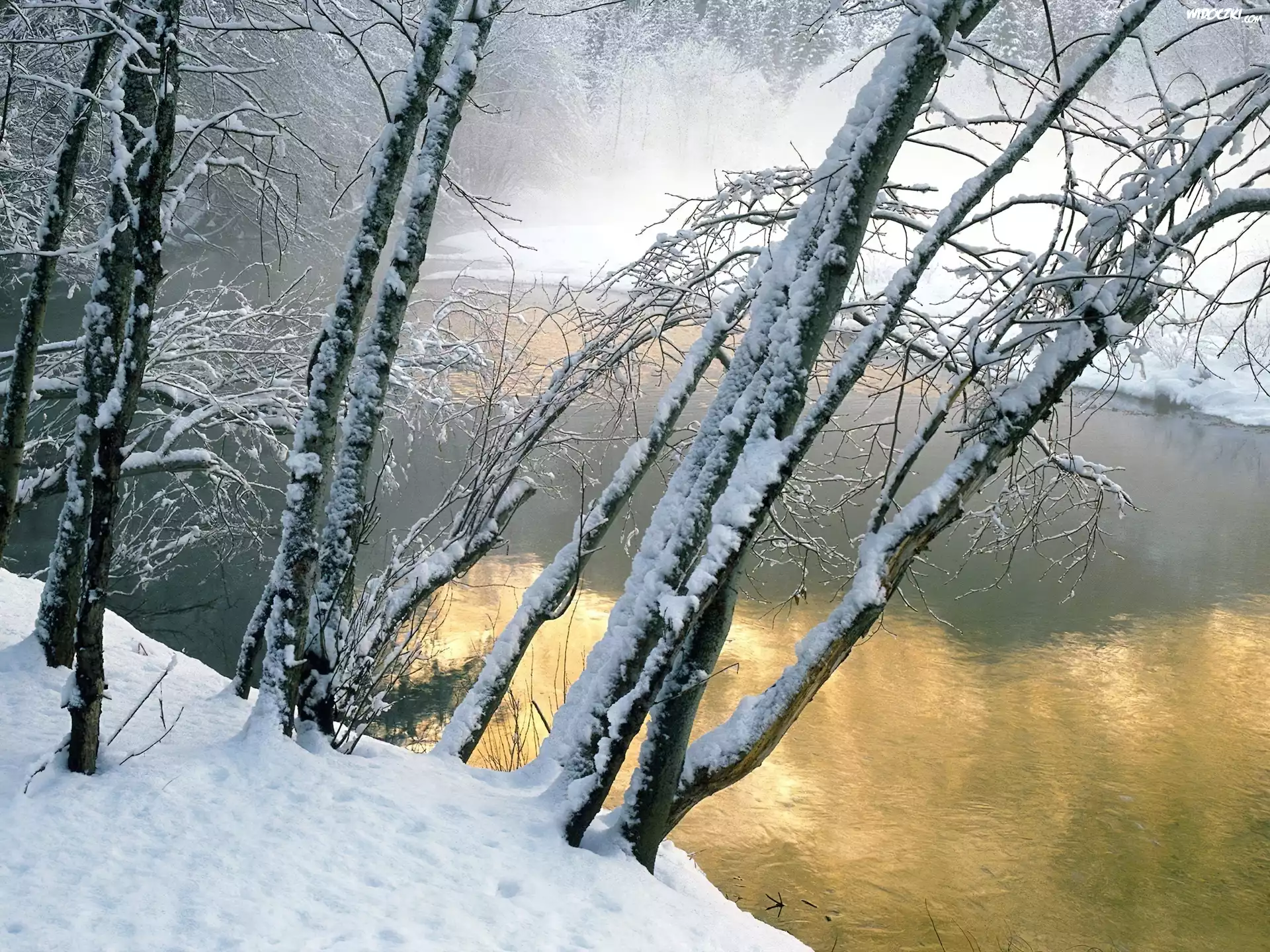 Leśna, Rzeka, Zima