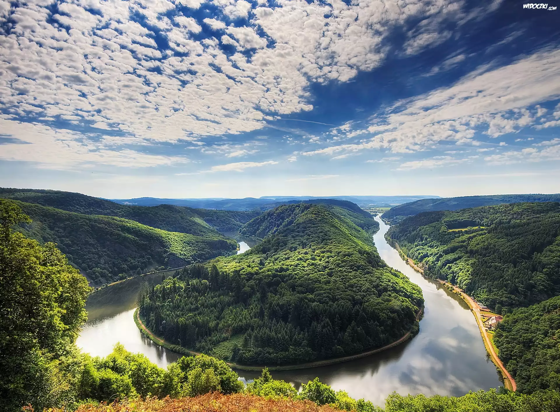 Rzeka, Saara, Meander, Lasy