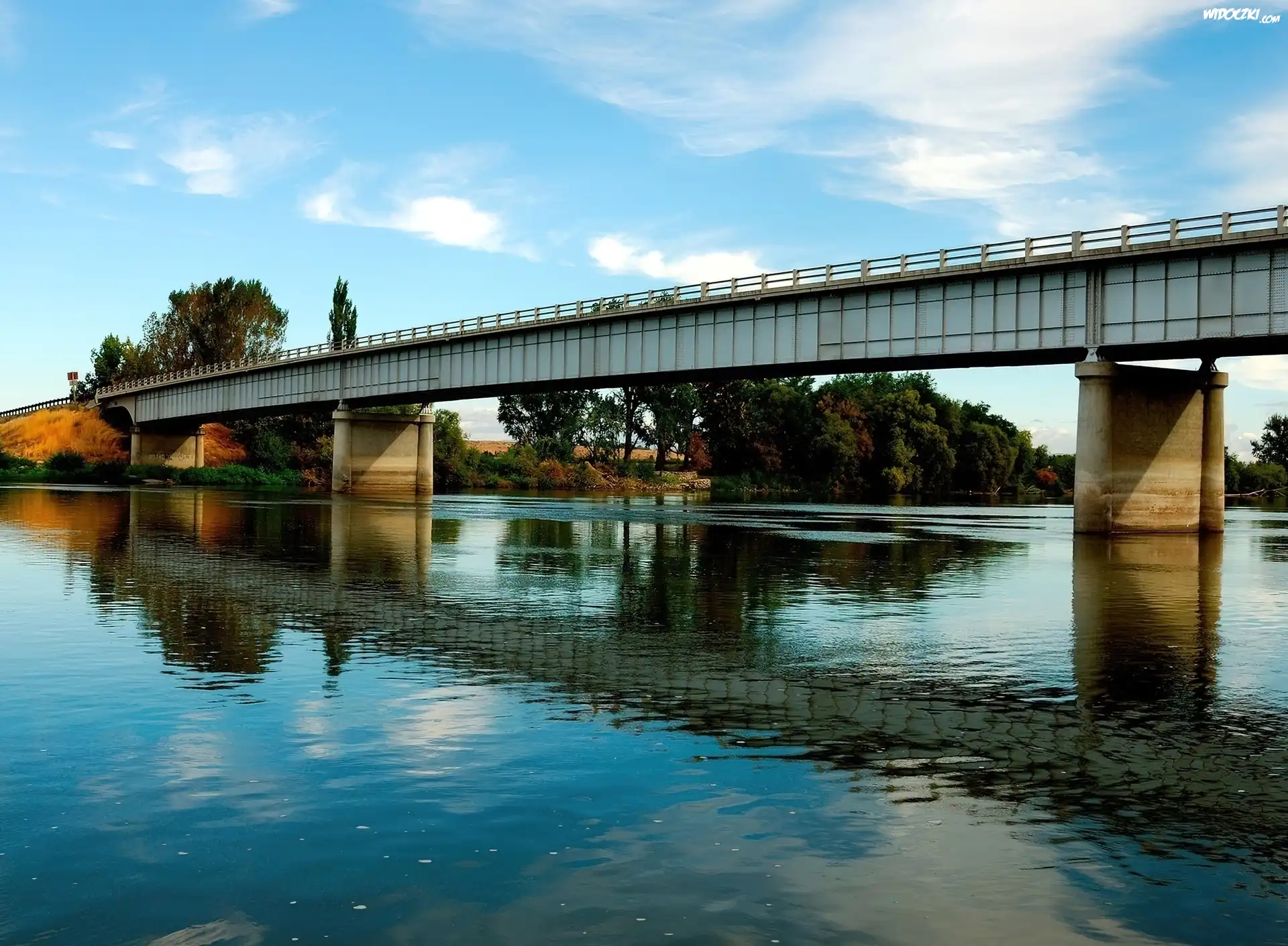 Rzeka, Most