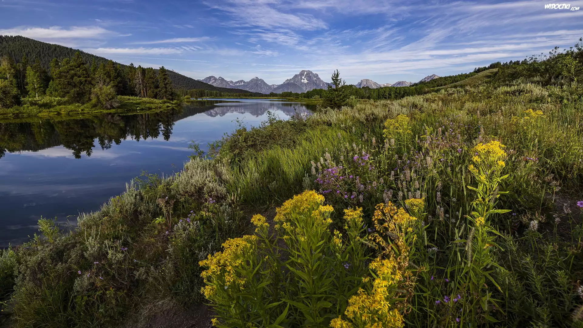 Stany Zjednoczone, Wyoming, Park Narodowy Grand Teton, Snake River, Mount Moran, Rośliny, Kwiaty, Łąka, Rzeka, Góry, Niebo