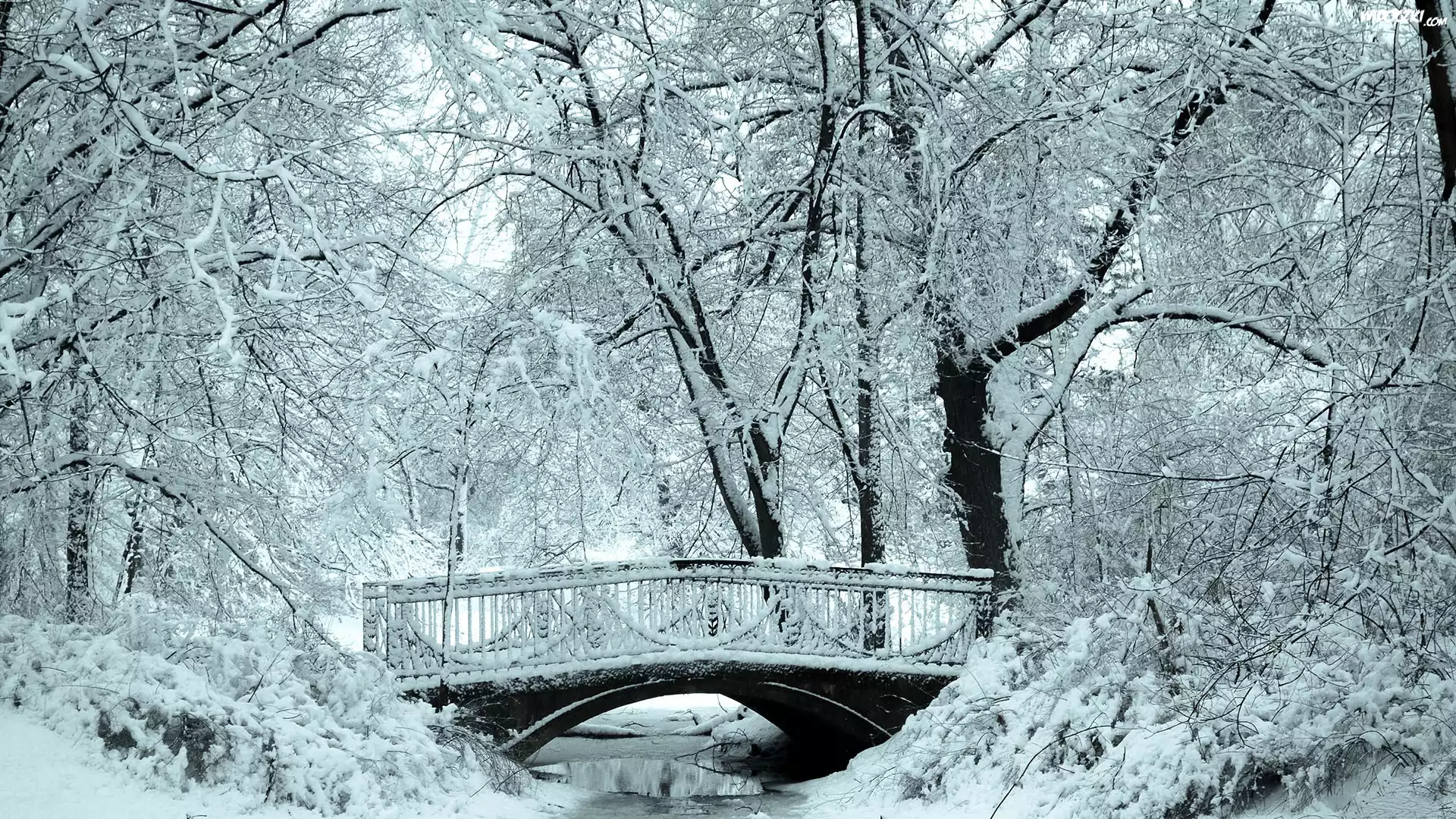 Rzeka, Mostek, Park, Zima