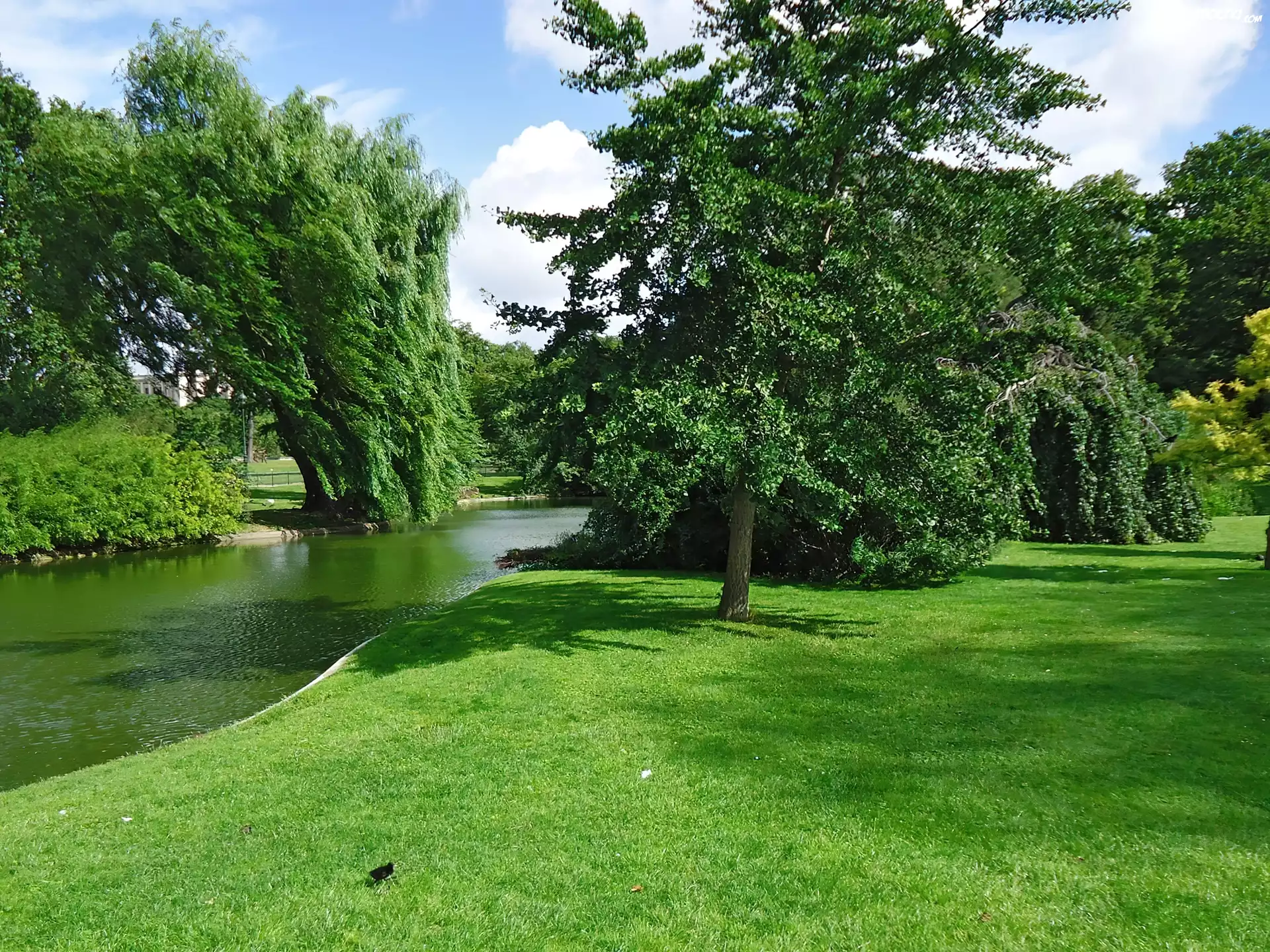 Park, Rzeka, Zieleń
