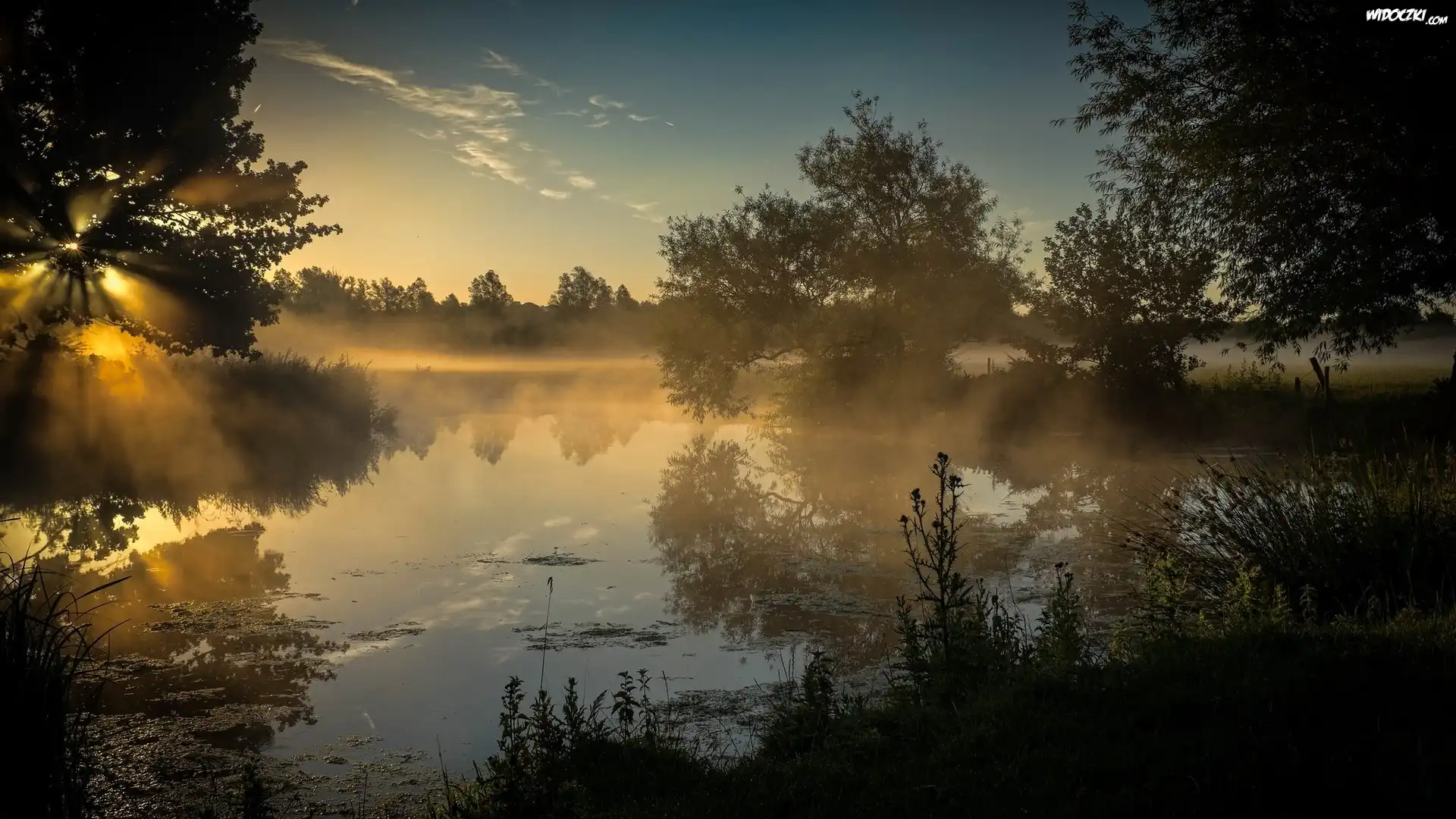 Rzeka, Drzewa, Promienie słońca, Mgła