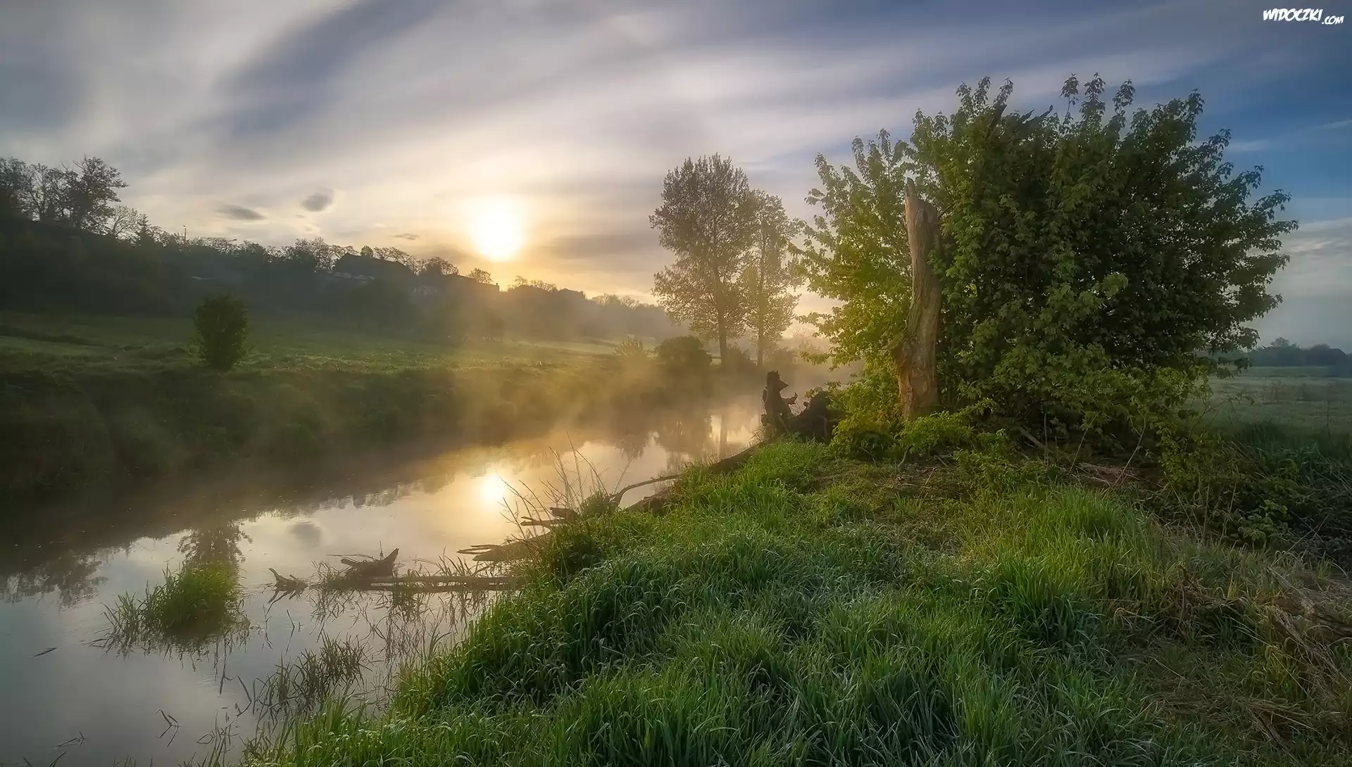 Rzeka, Drzewa, Wschód słońca, Trawa