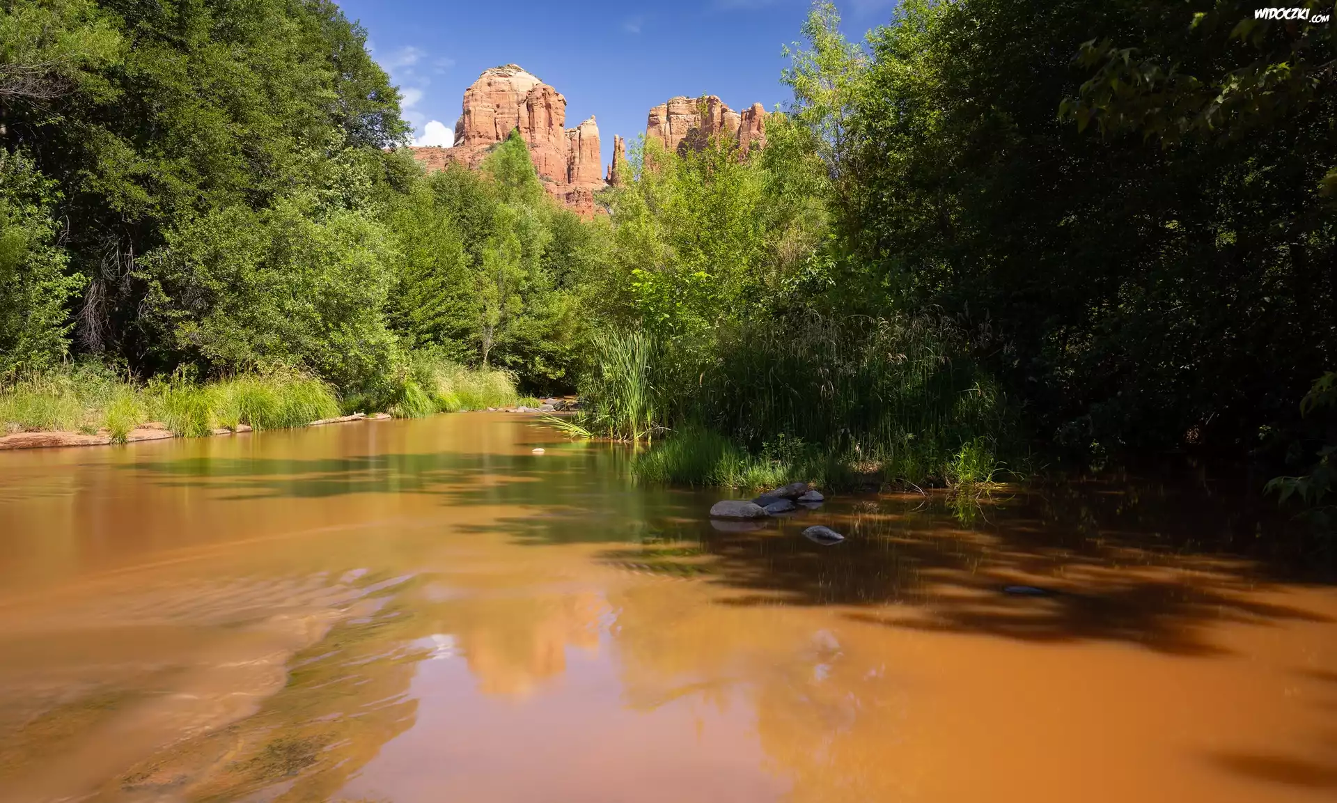 Rzeka, Drzewa, Góry, Red Rock State Park, Arizona, Stany Zjednoczone