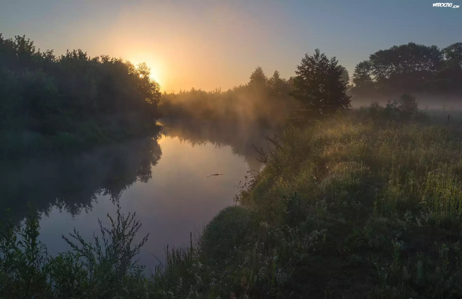 Rzeka, Drzewa, Mgła, Wschód słońca