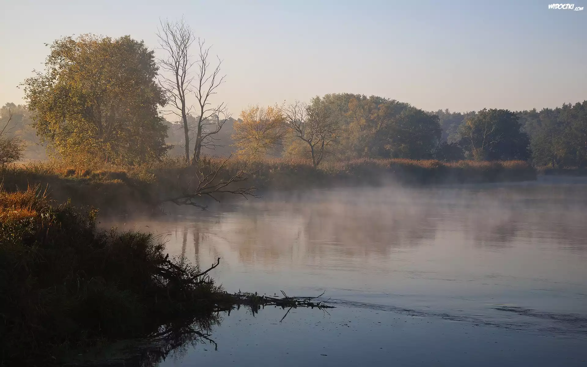 Rzeka, Warta, Mgła, Poranek, Wschód.
