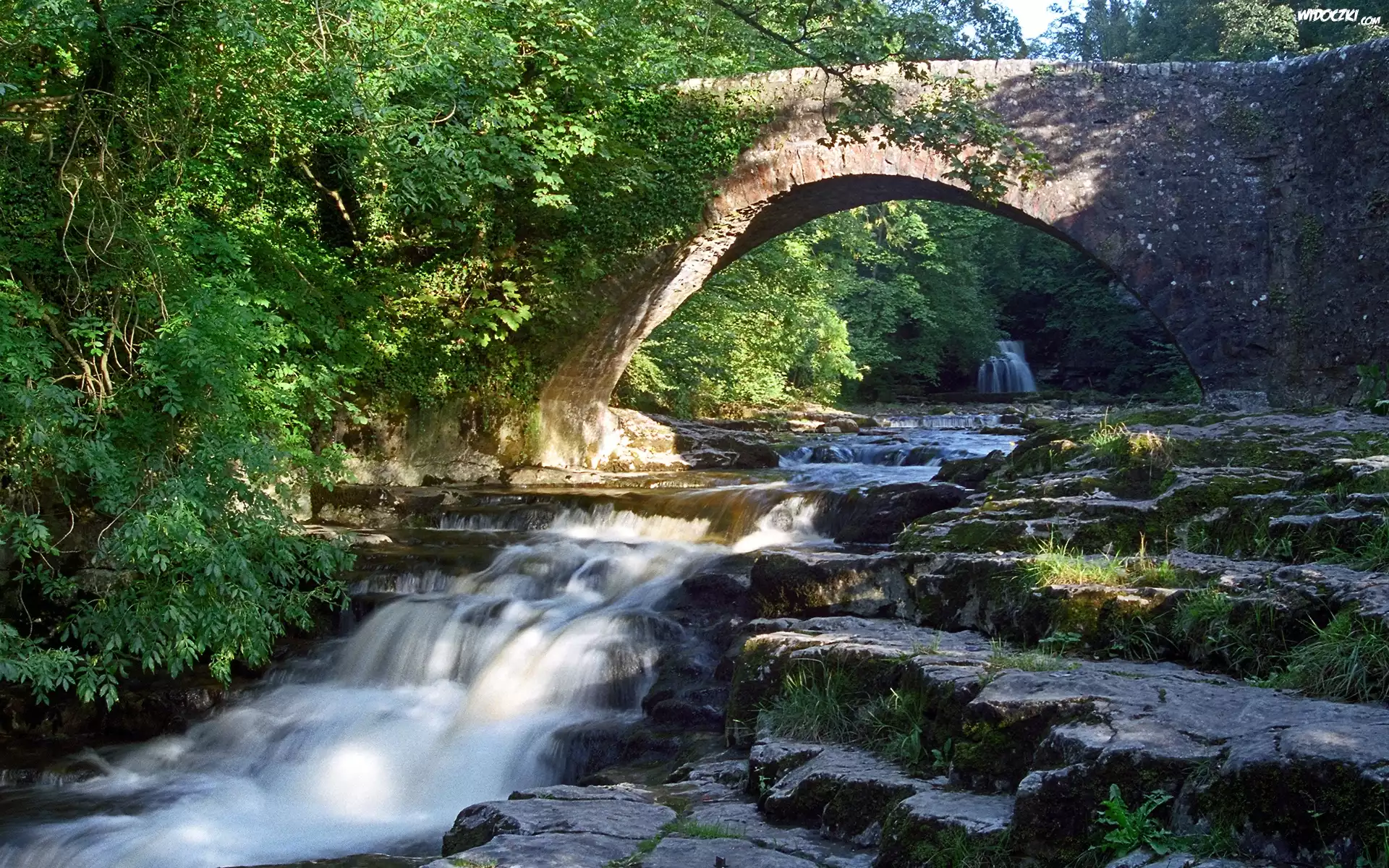 Rzeka, Kaskady, Most, Zieleń, Yorkshire, Anglia