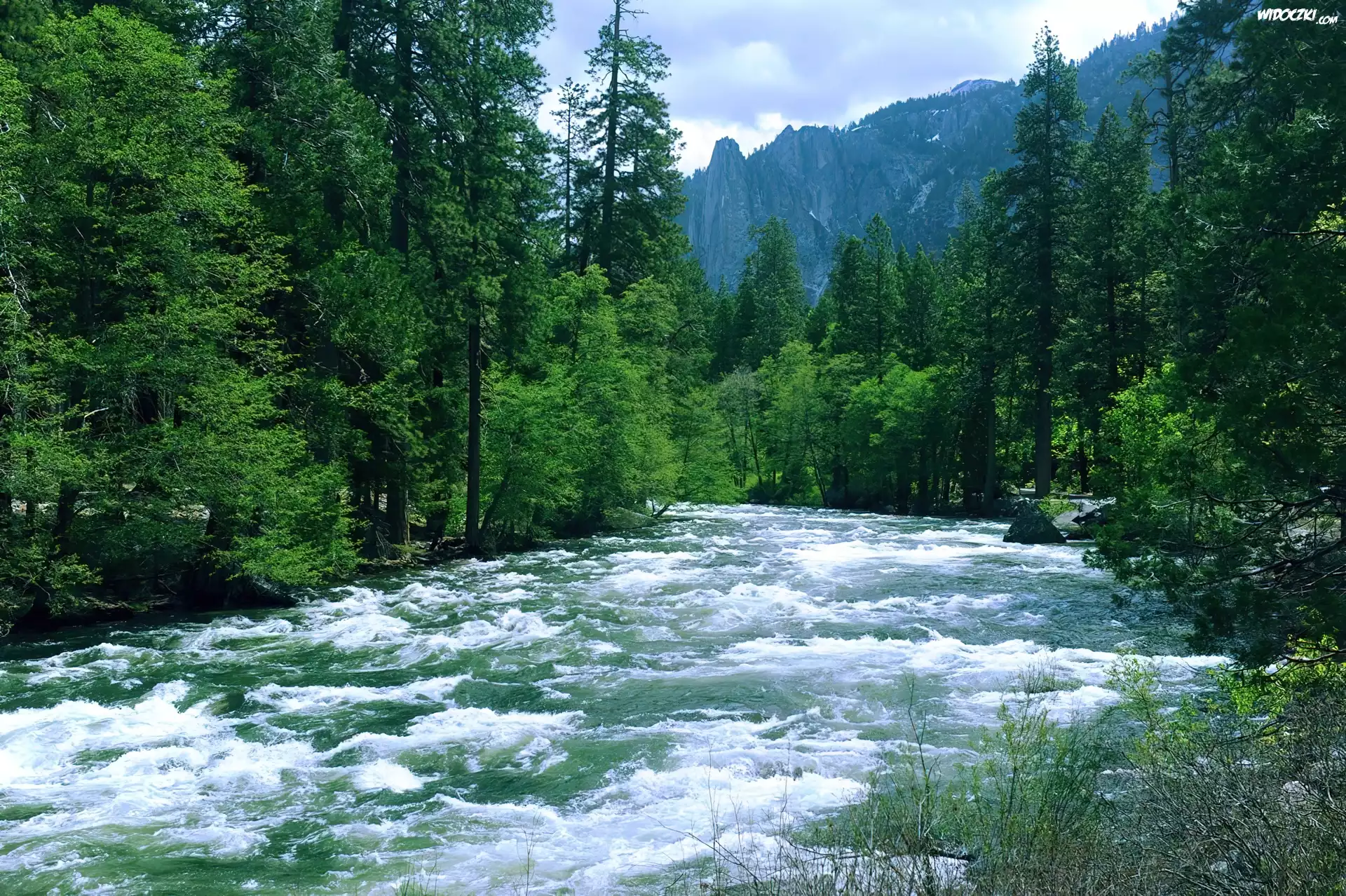 Rzeka, Las, Góry, Yosemite, Kalifornia