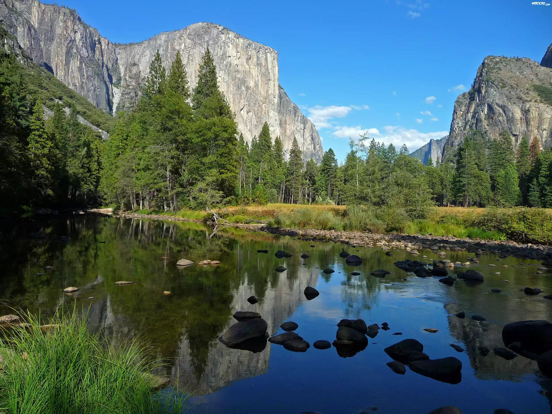 Stany Zjednoczone, Stan Kalifornia, Park Narodowy Yosemite, Rzeka, Góry, Drzewa