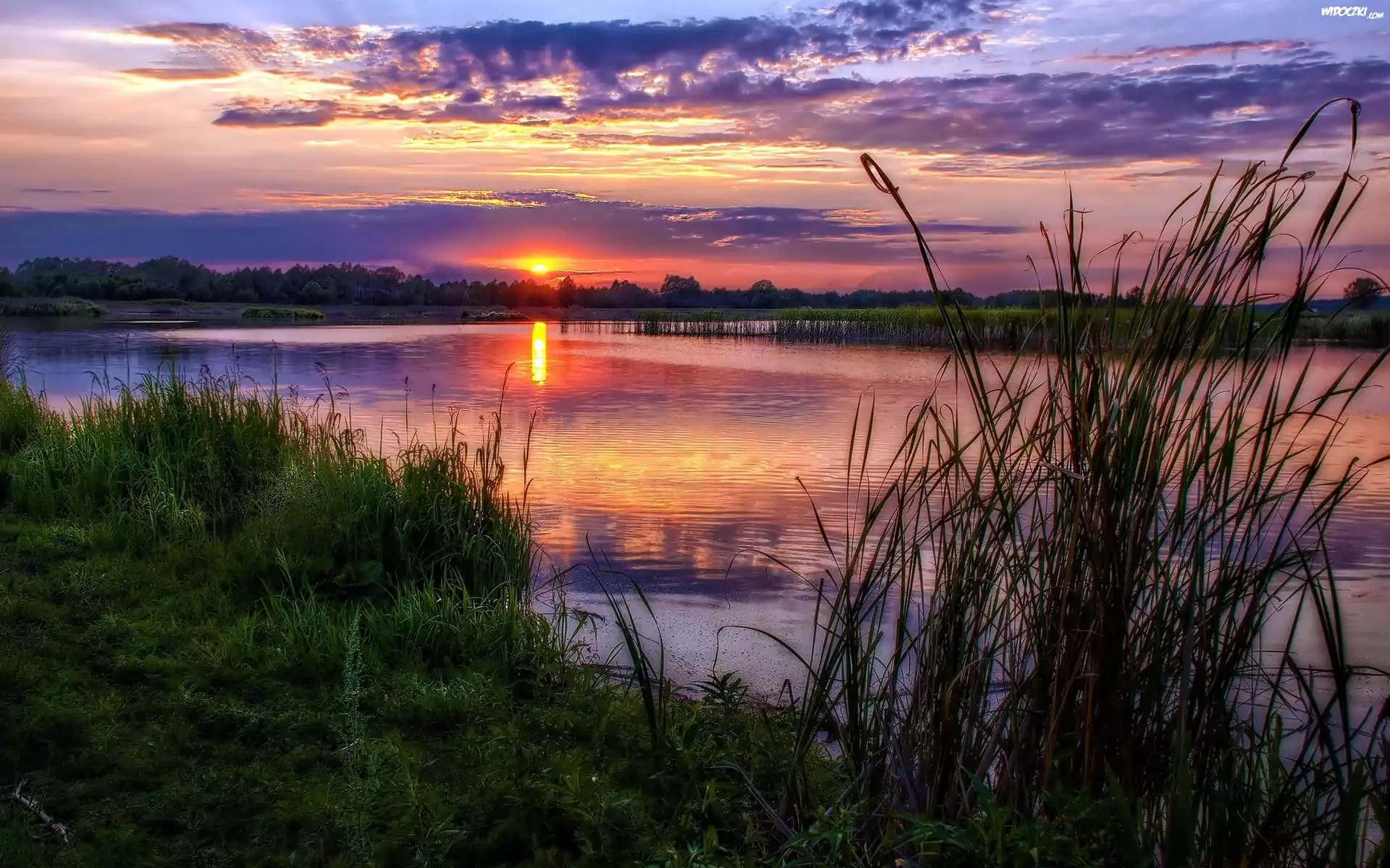 Rzeka, Trawy, Ścieżka, Lasy, Zachód, Słońca