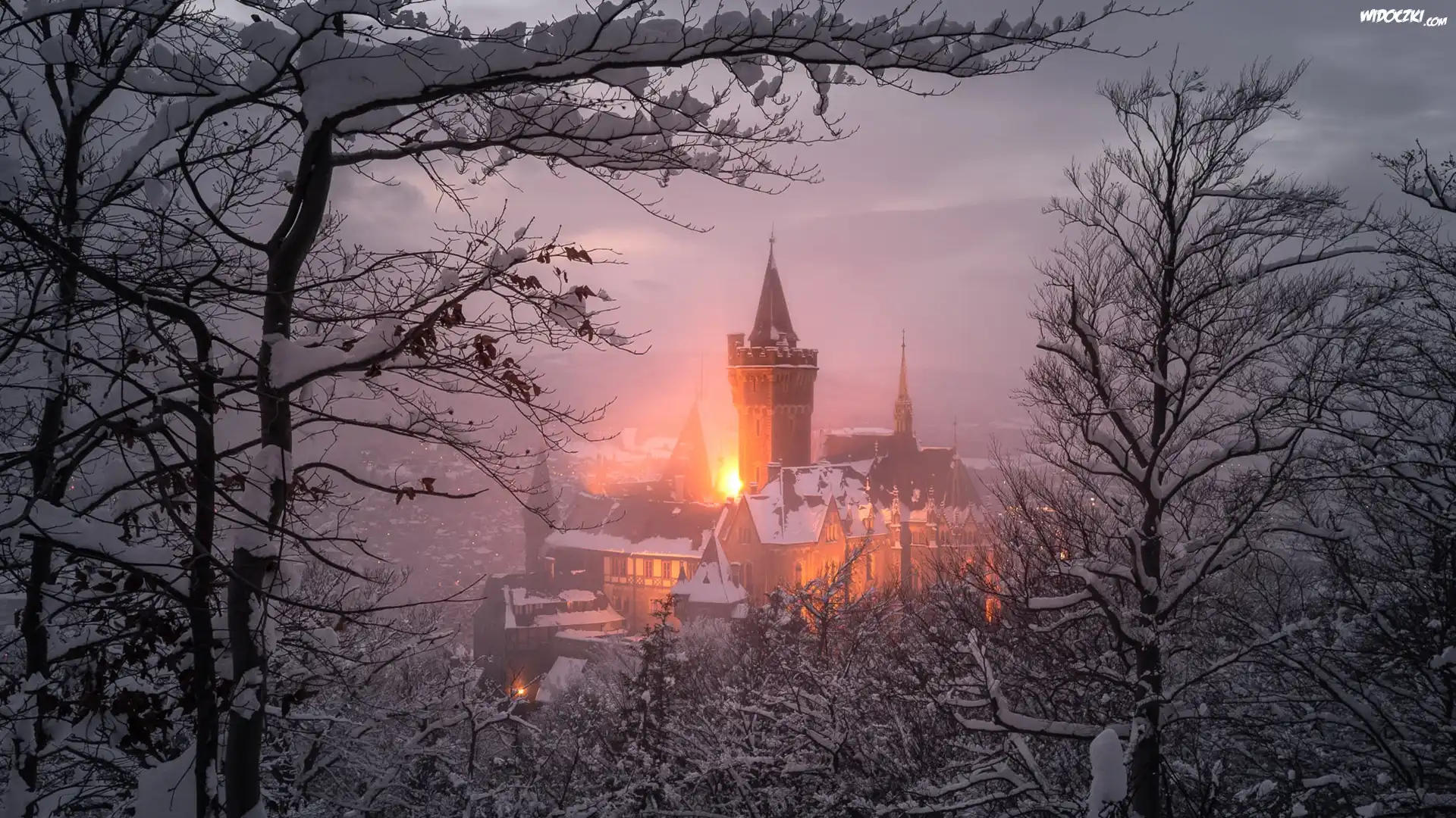 Niemcy, Saksonia, Wernigerode, Zamek Wernigerode, Zima, Drzewa, Światła