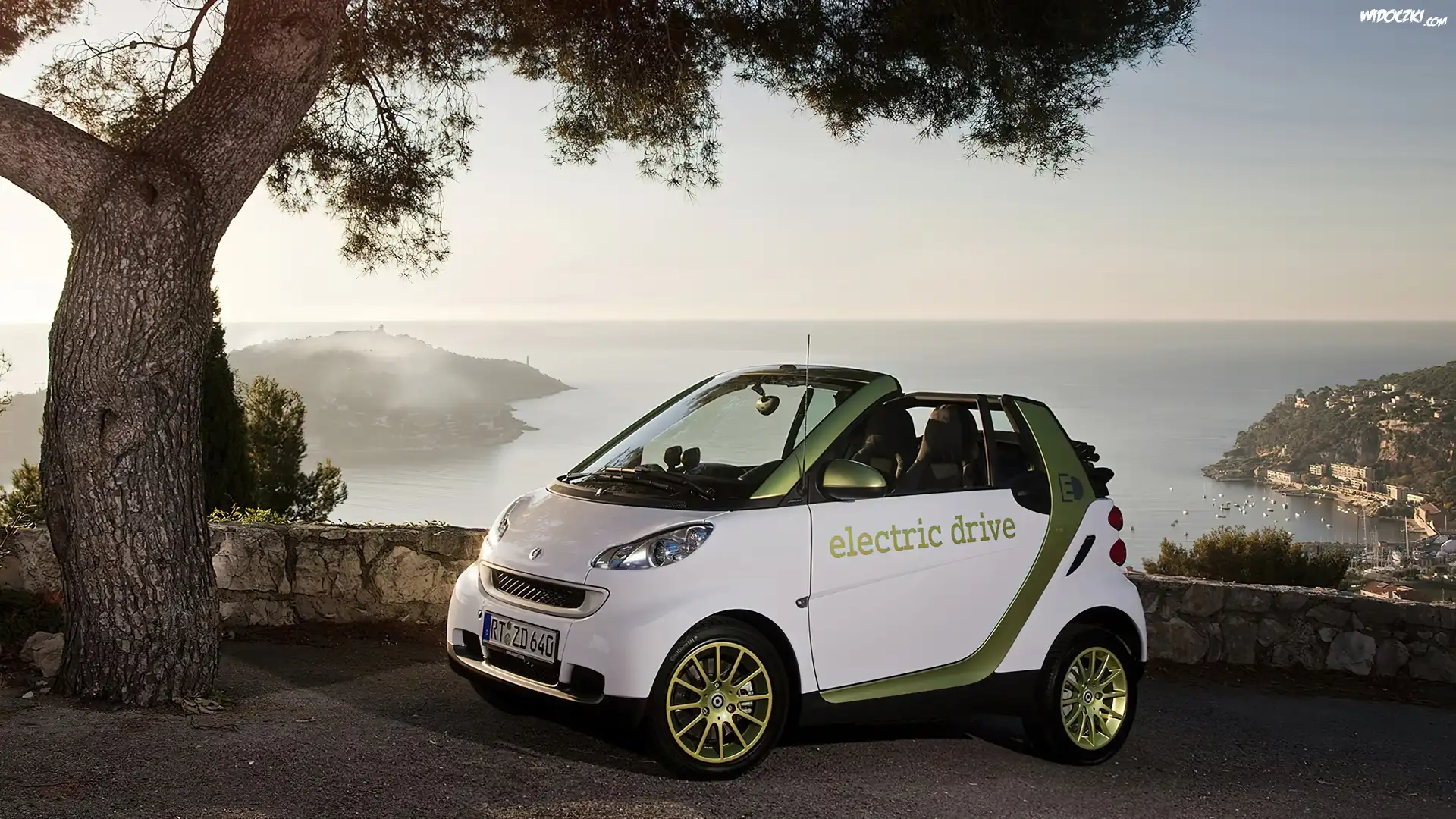 Samochód, Smart, Fortwo, Drzewo, Morze, Skały