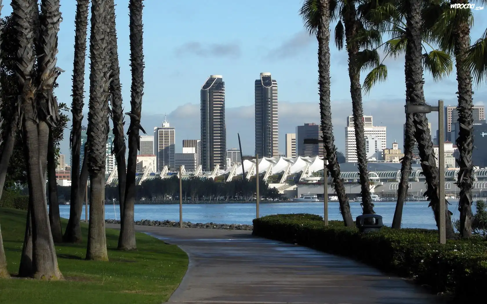 San Diego, Drapacze Chmur, Droga, Drzewa