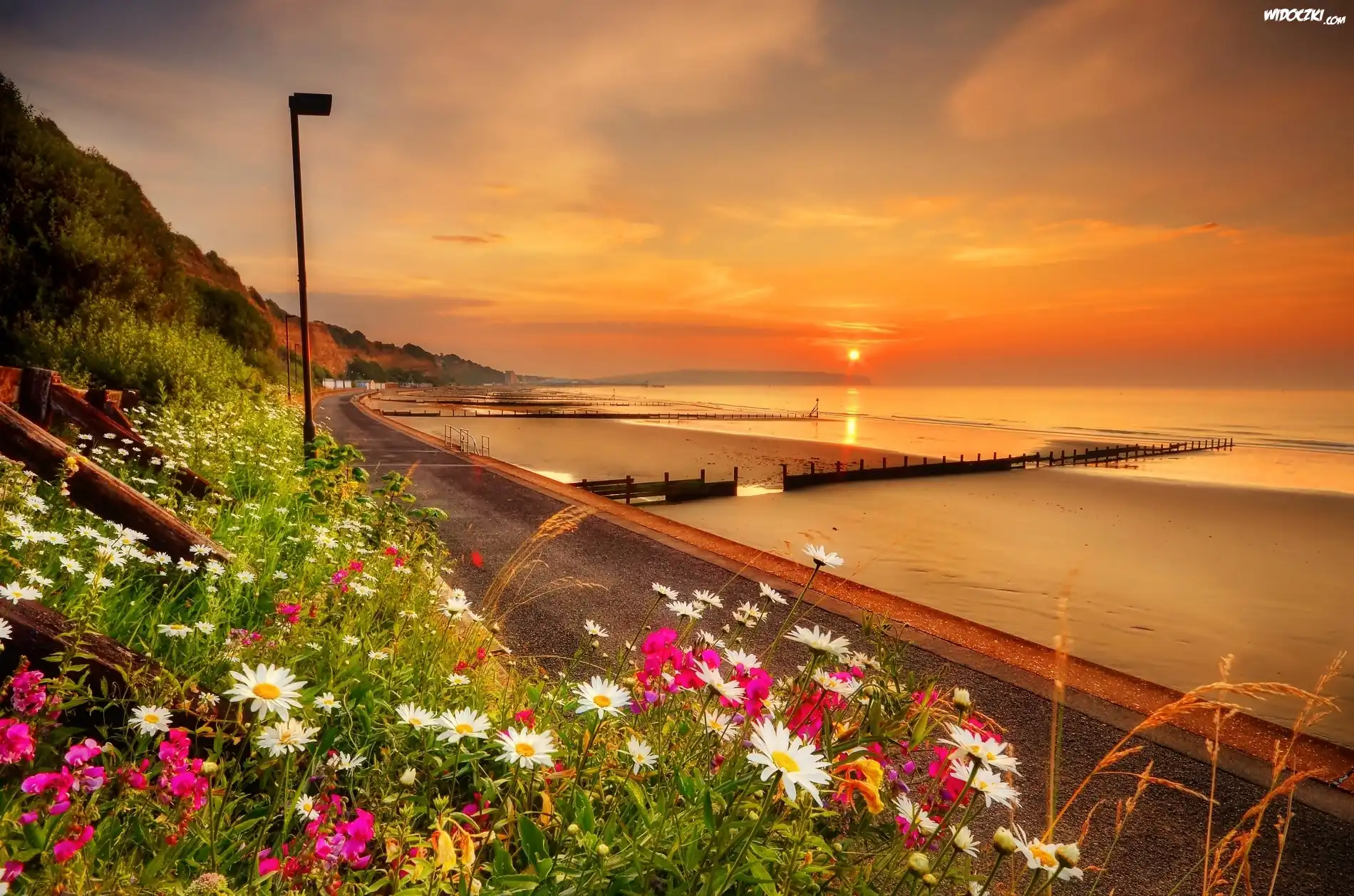 Zatoka, Sandown Bay, Plaża, Morze, Wschód Słońca, Anglia