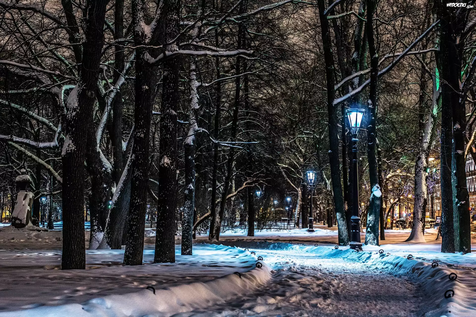 Rosja, Sankt, Petersburg,Park, NocÄ…, Alejka Latarnie