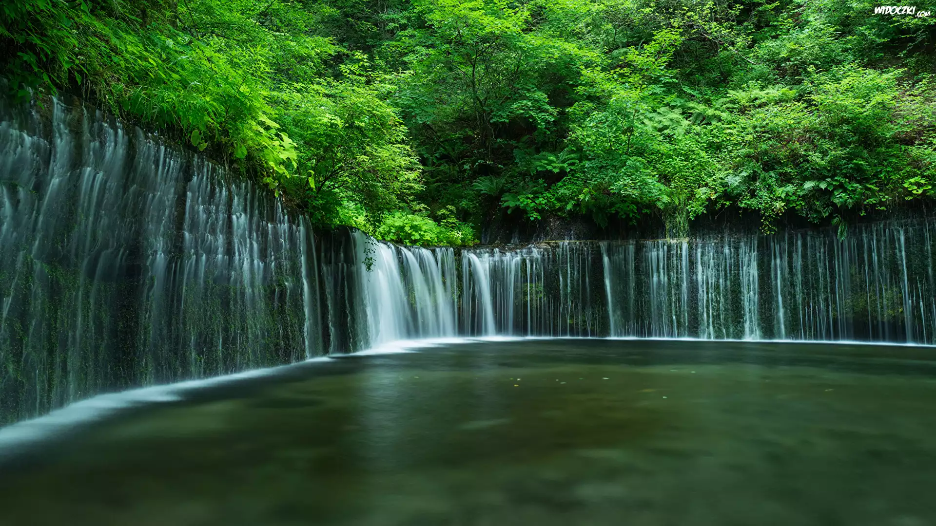 Japonia, Wodospad Shiraito Falls, Park Narodowy Fudżi Hakone Izu, Skały, Drzewa