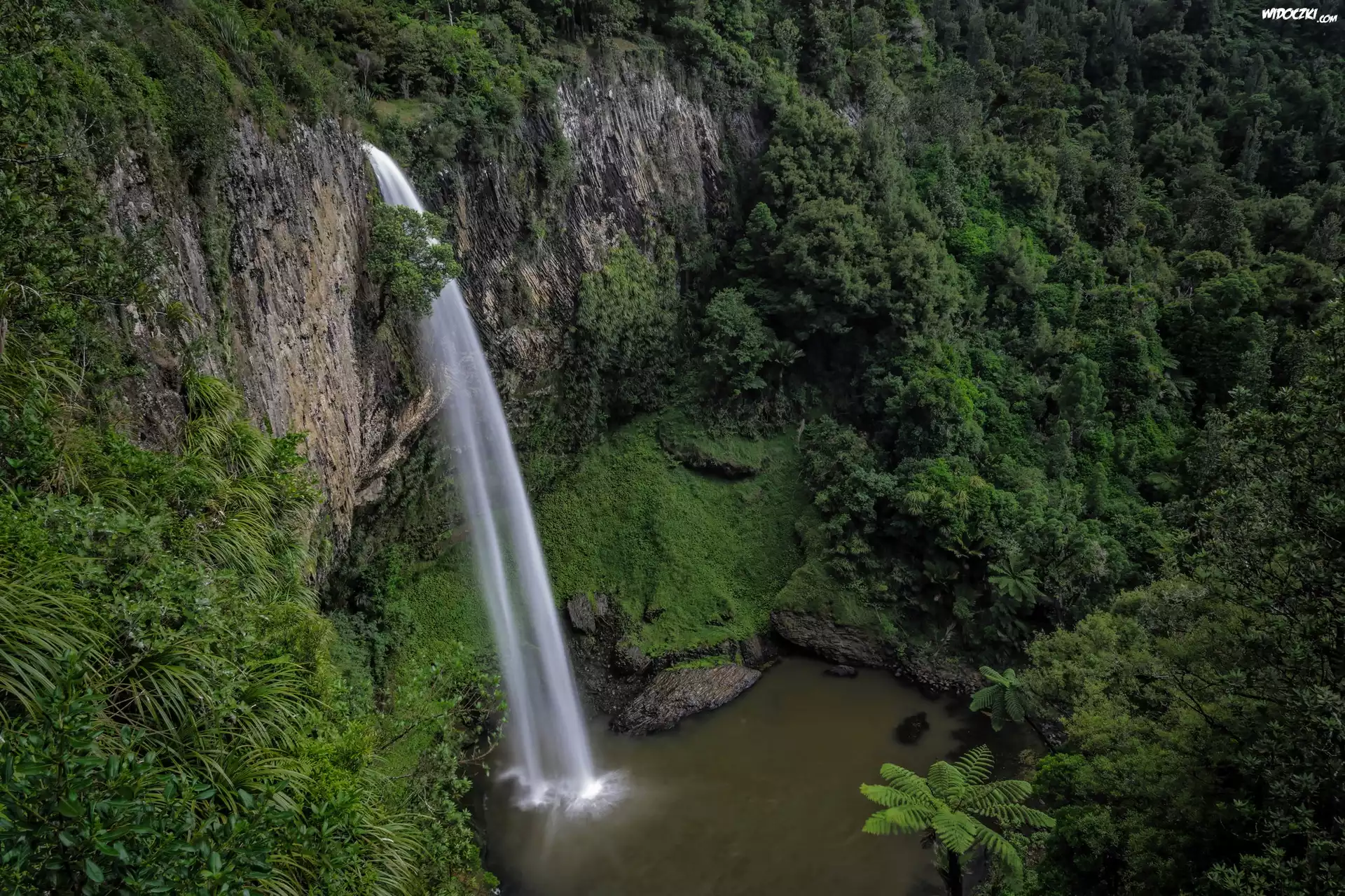 Wodospad Bridal Veil Falls, Las, Skała, Region Waikato, Wyspa Północna, Nowa Zelandia