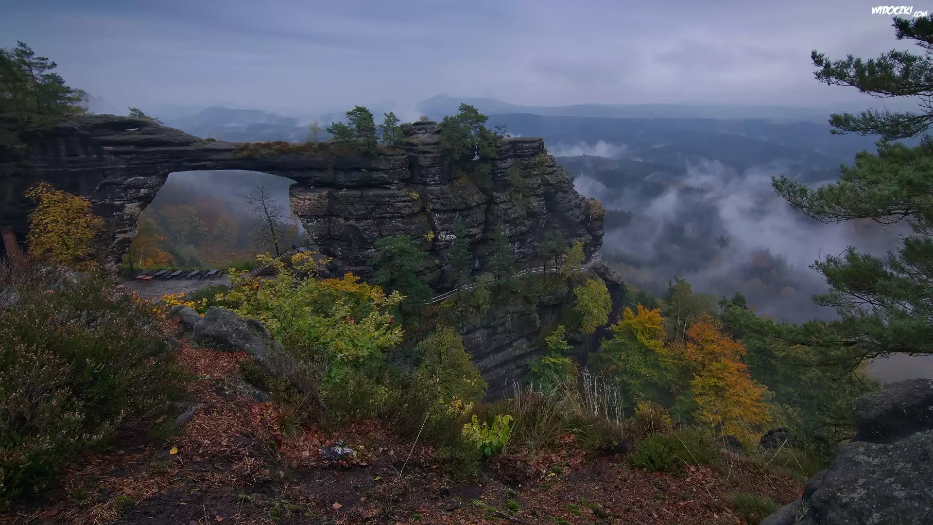 Góry Połabskie, Skała, Most skalny, Brama Pravcicka, Rośliny, Drzewa, Park Narodowy Czeska Szwajcaria, Czechy
