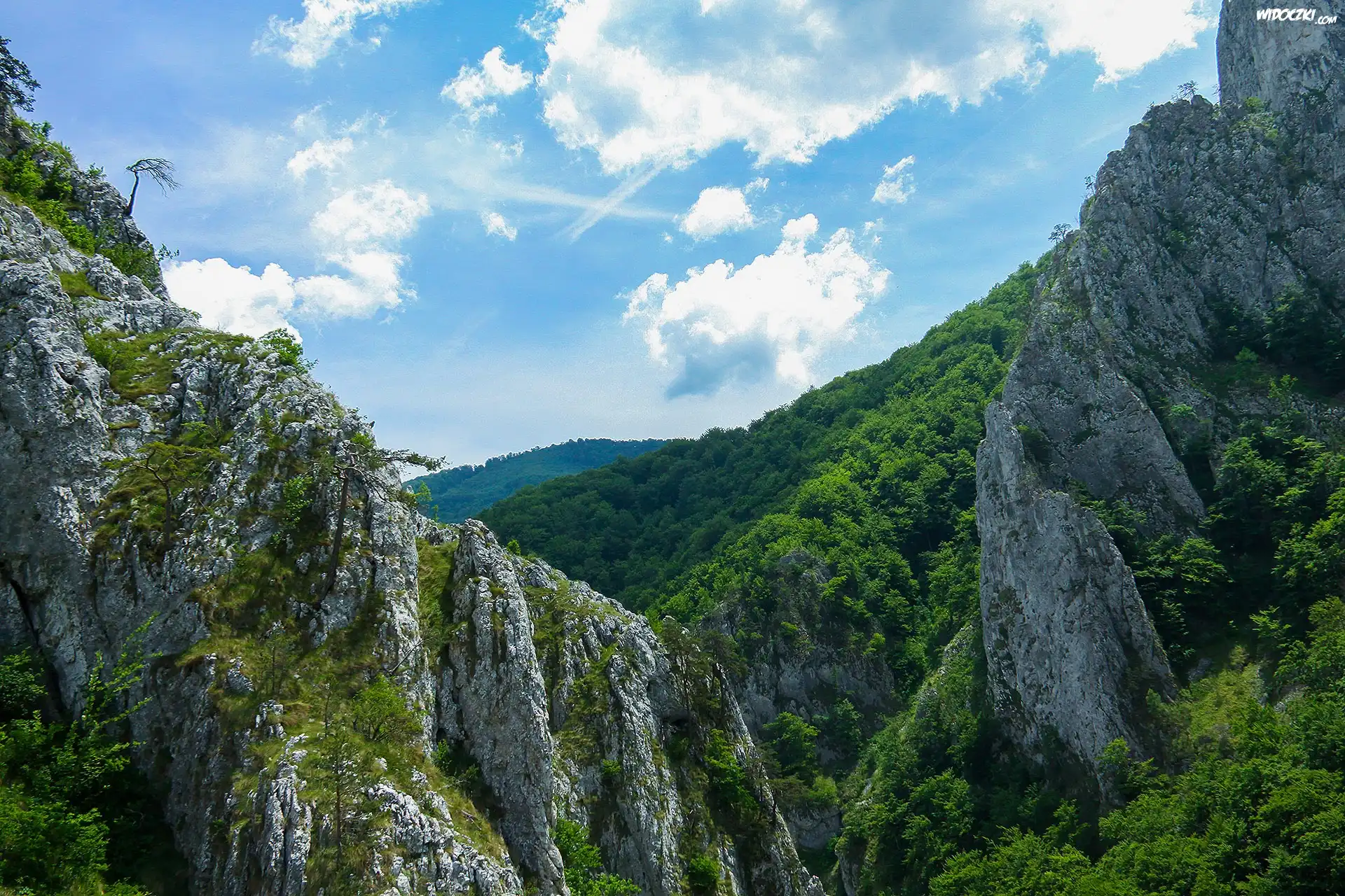 Góry, Skały, Lasy