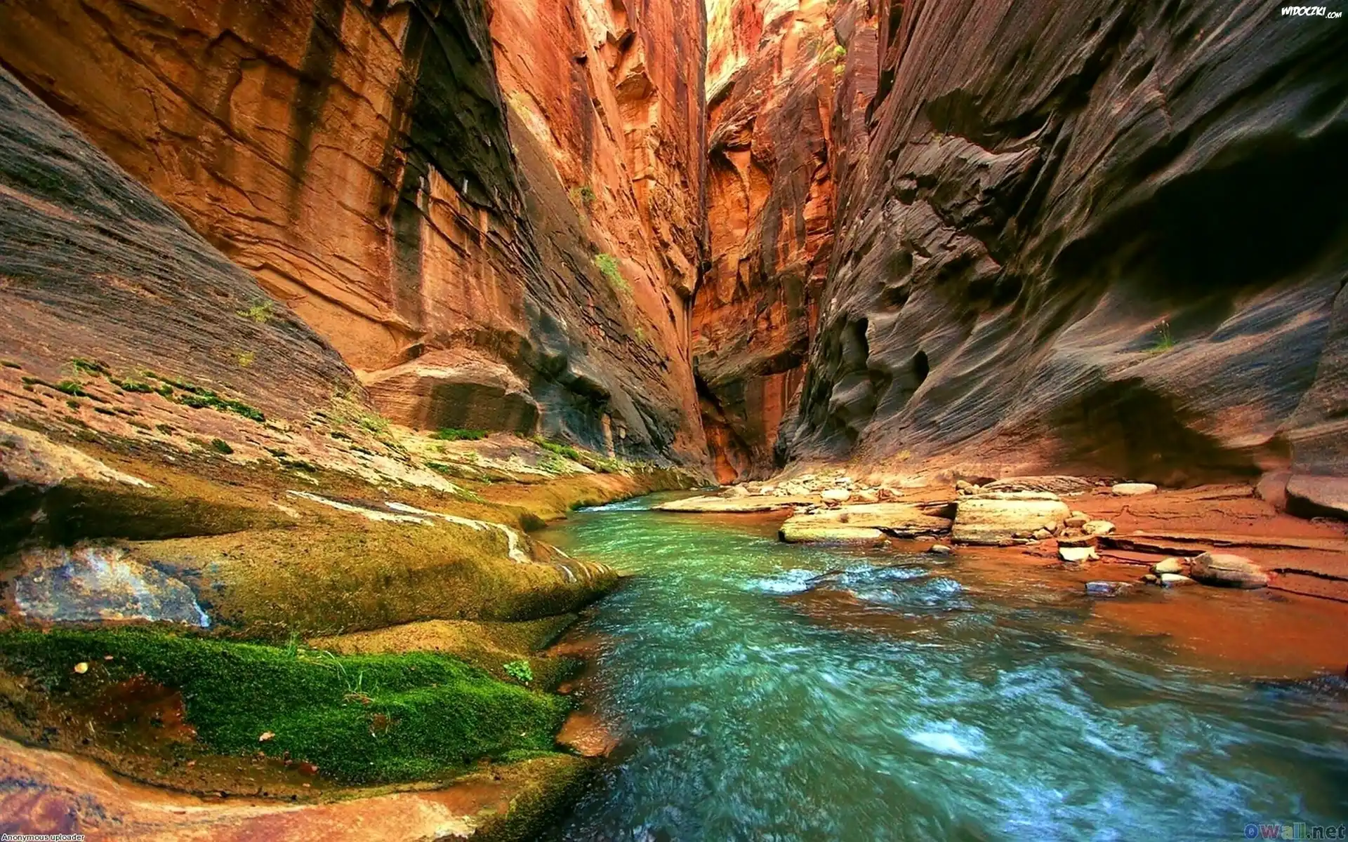 Kanion, Skały, Rzeka, Park, Narodowy, Zion, Utah