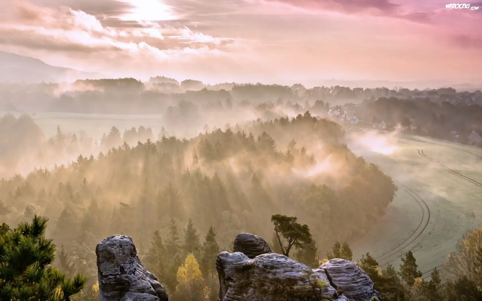 Skały, Drzewa, Las, Mgła