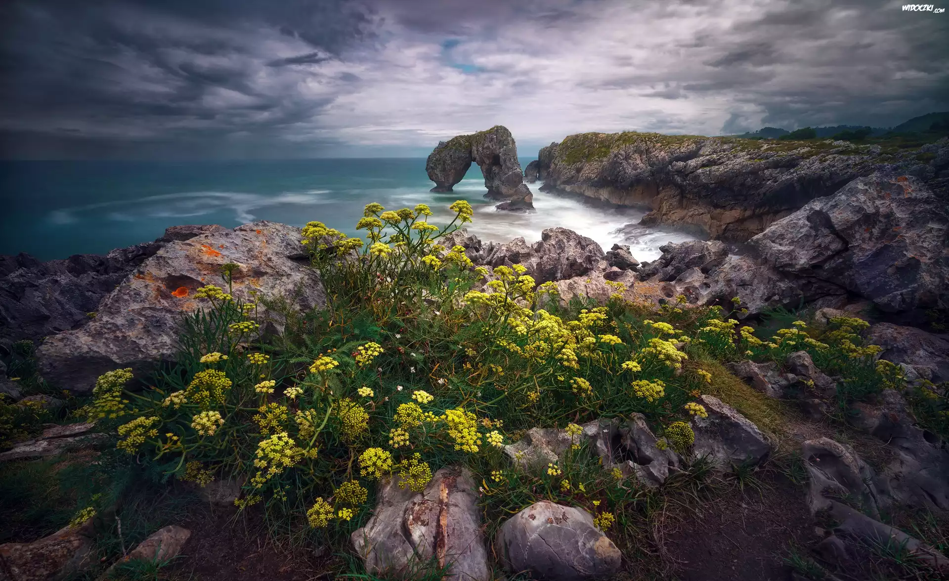 Morze, Łuk skalny, Kwiaty, Skały, Wybrzeże, Playa de La Huelga, Gmina Hontoria, Asturia, Hiszpania