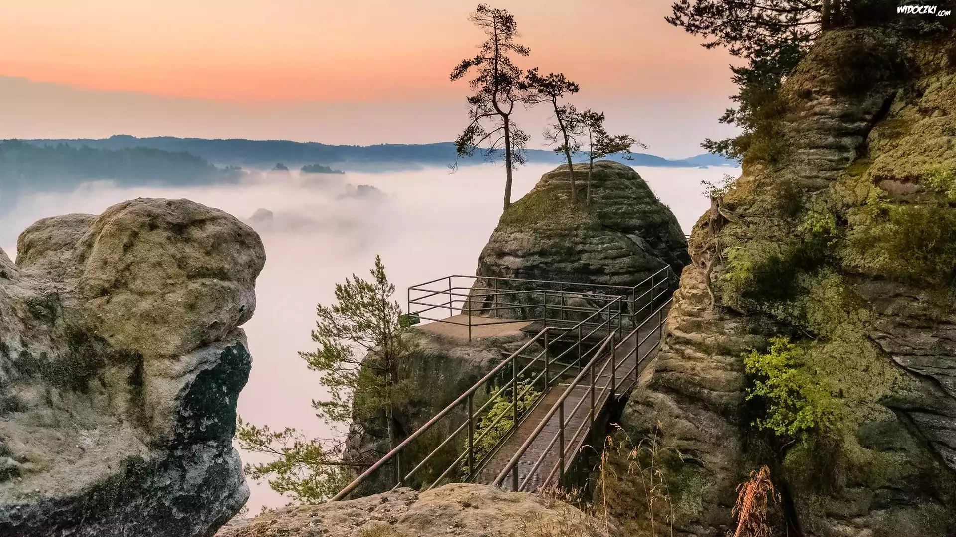 Góry Połabskie, Skały, Mgła, Pomost, Drzewa, Park Narodowy Saskiej Szwajcarii, Niemcy