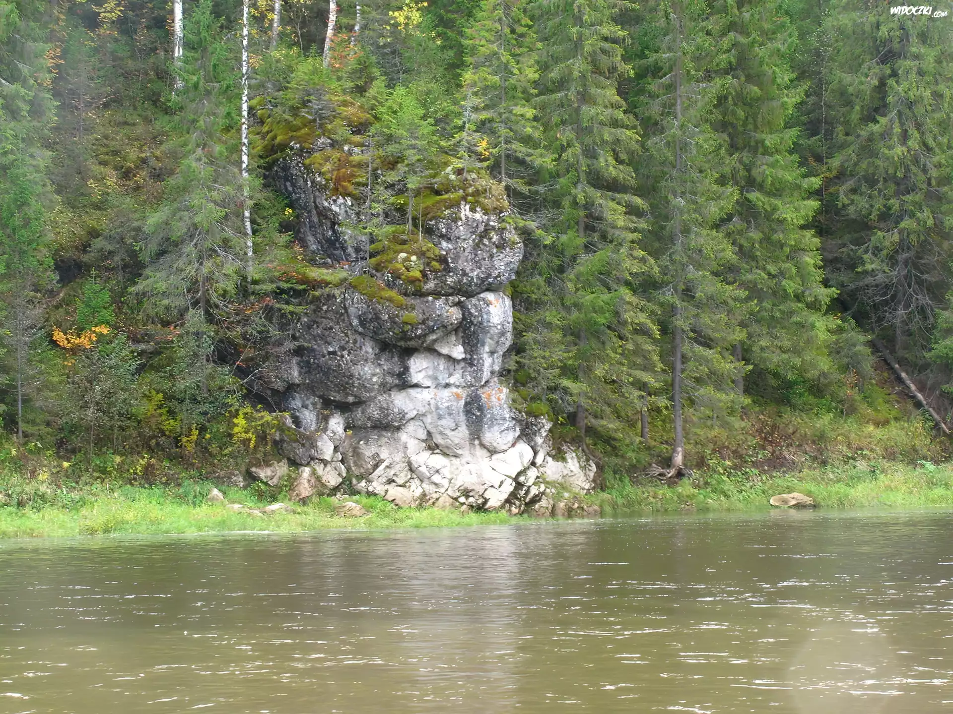 Rzeka, Skały, Las