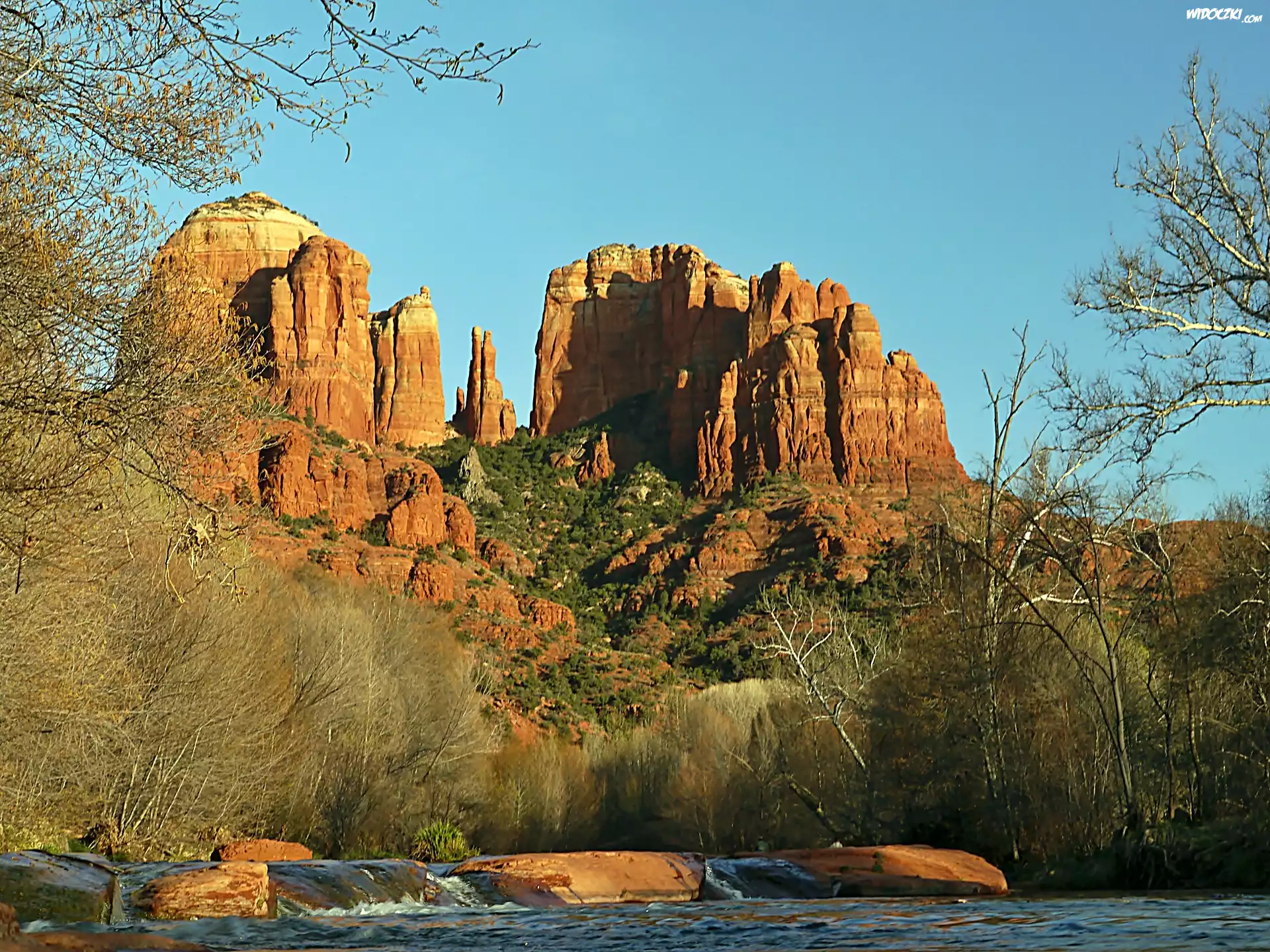 Skały, Drzewa, Zarośla, Rzeka, Sedona, Arizona