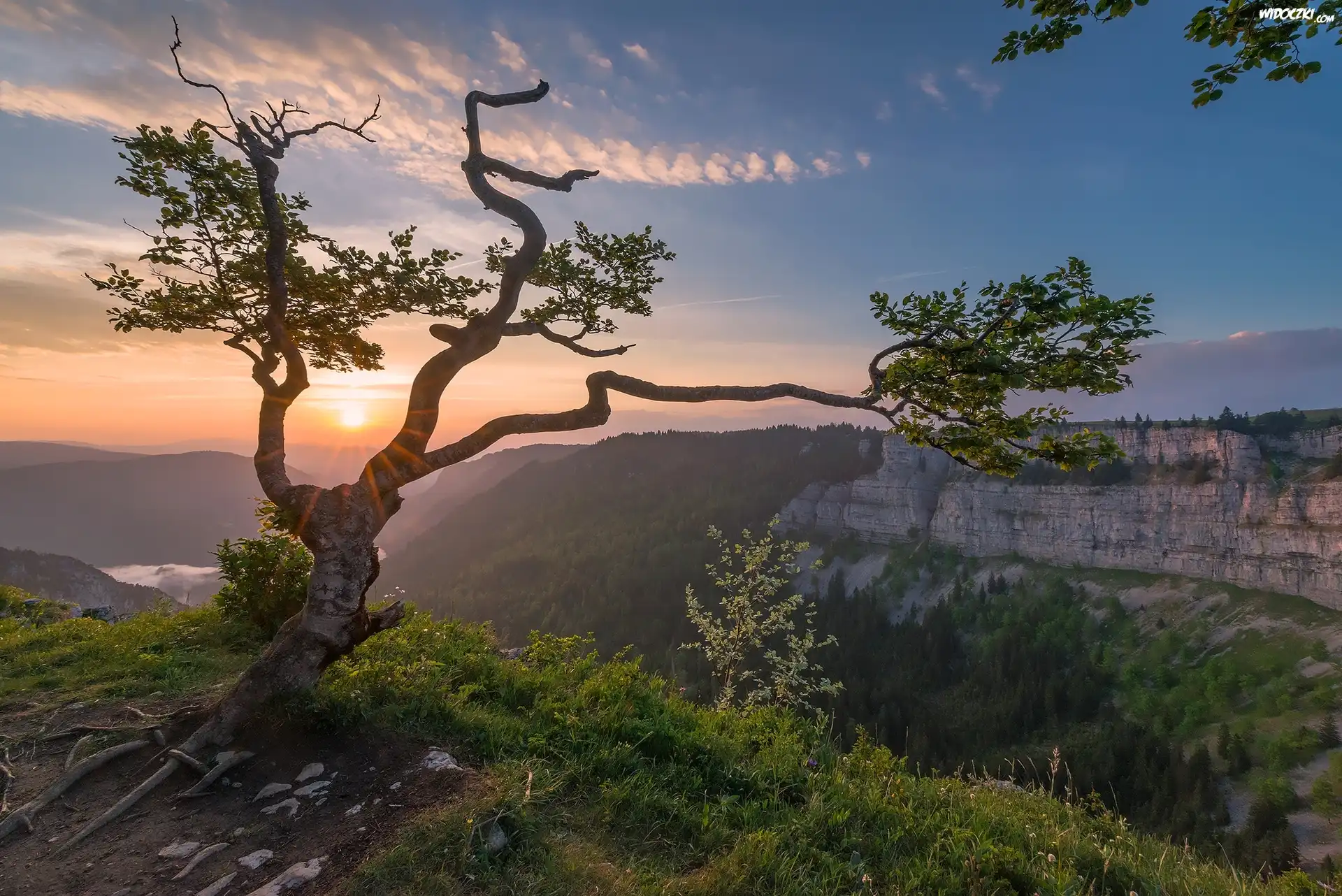 Skały, Atrakcja Creux du Van, Dolina Val de Travers, Kanton Neuchatel, Szwajcaria, Drzewo, Wschód słońca, Chmury