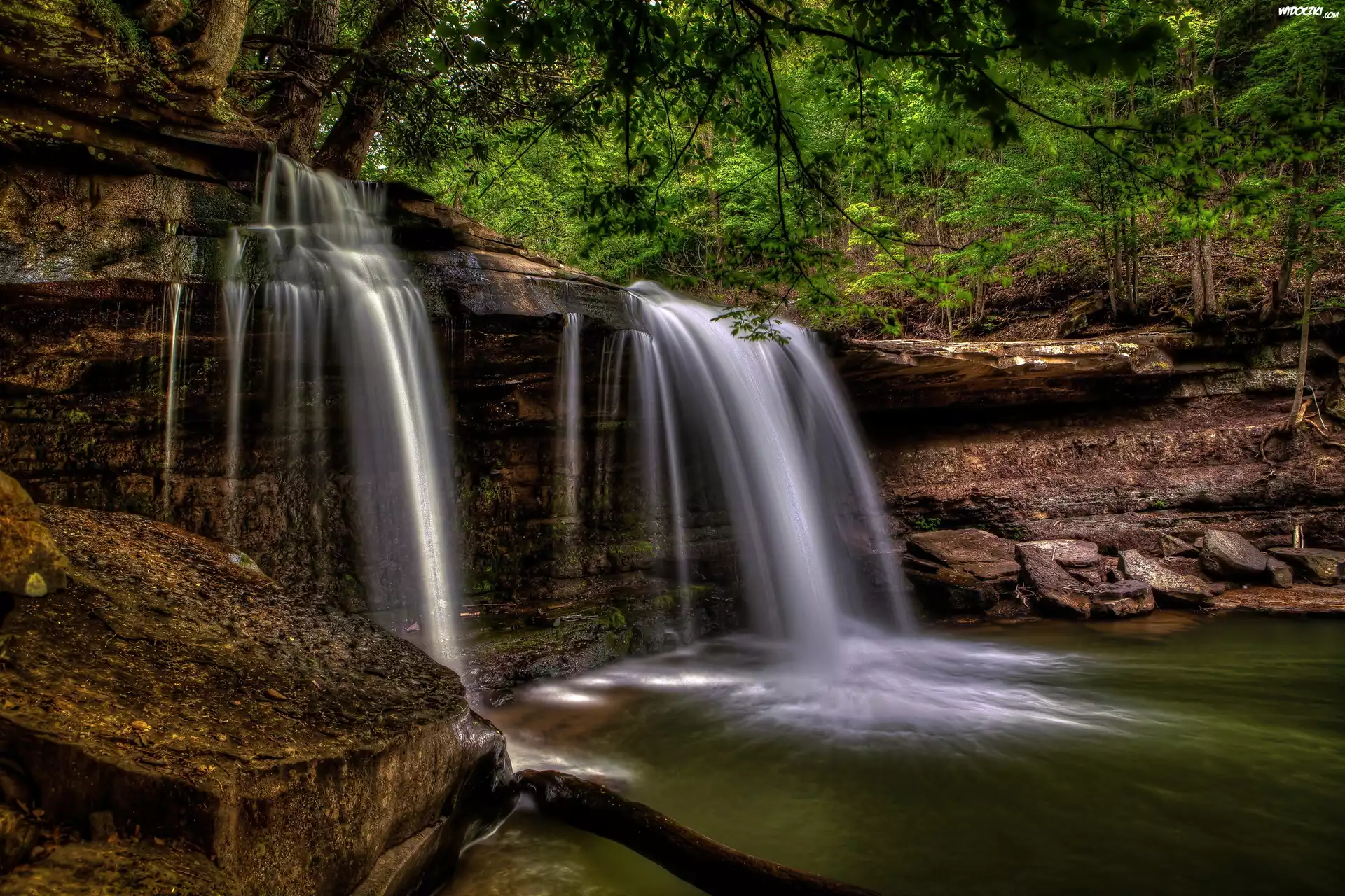 Stany Zjednoczone, Stan Wirginia Zachodnia, Wodospad Claypool Falls, Skały