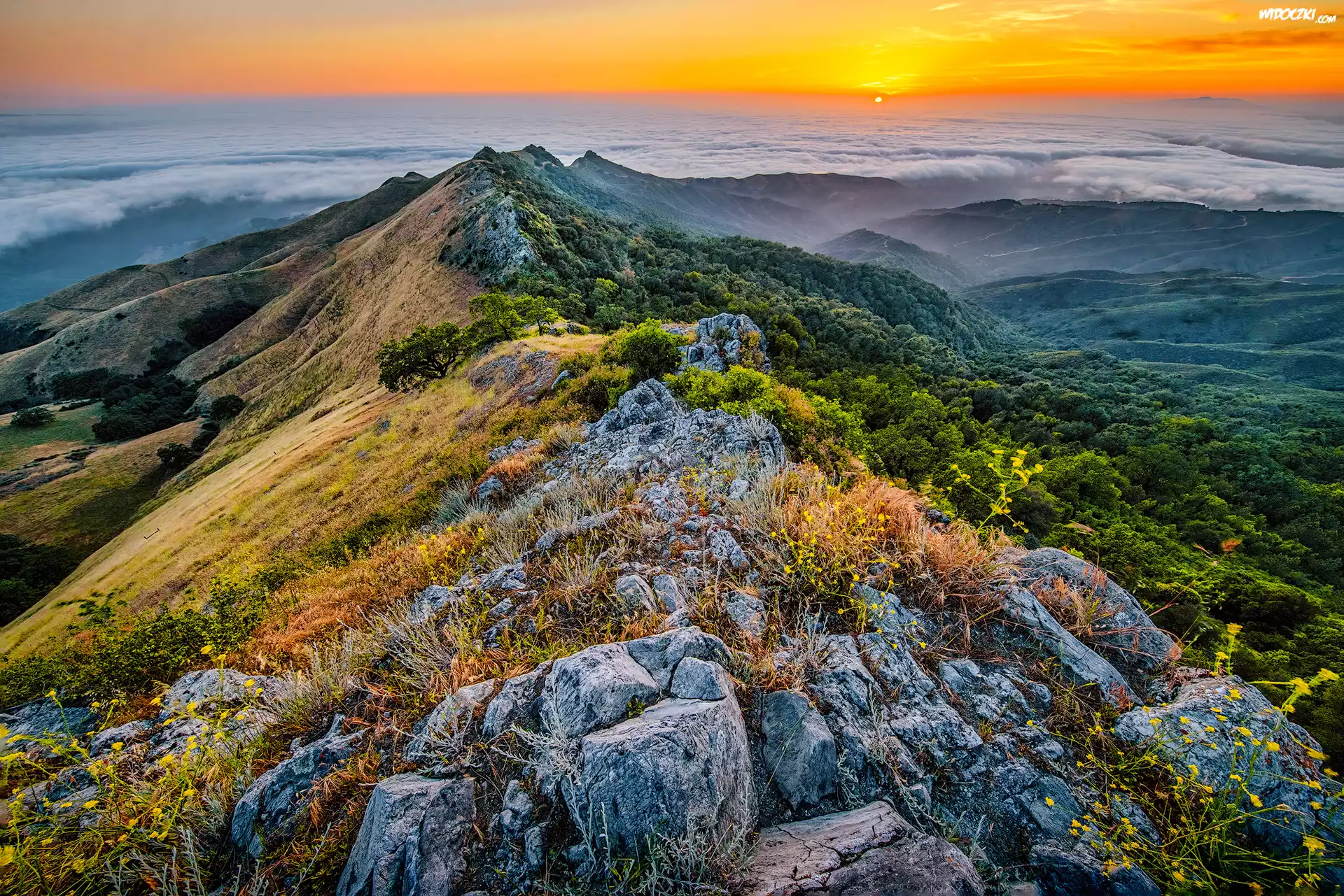 Stany Zjednoczone, Kalifornia, Park Stanowy Fremont Peak, Góry, Skały, Lasy, Roślinność, Mgła, Zachód słońca