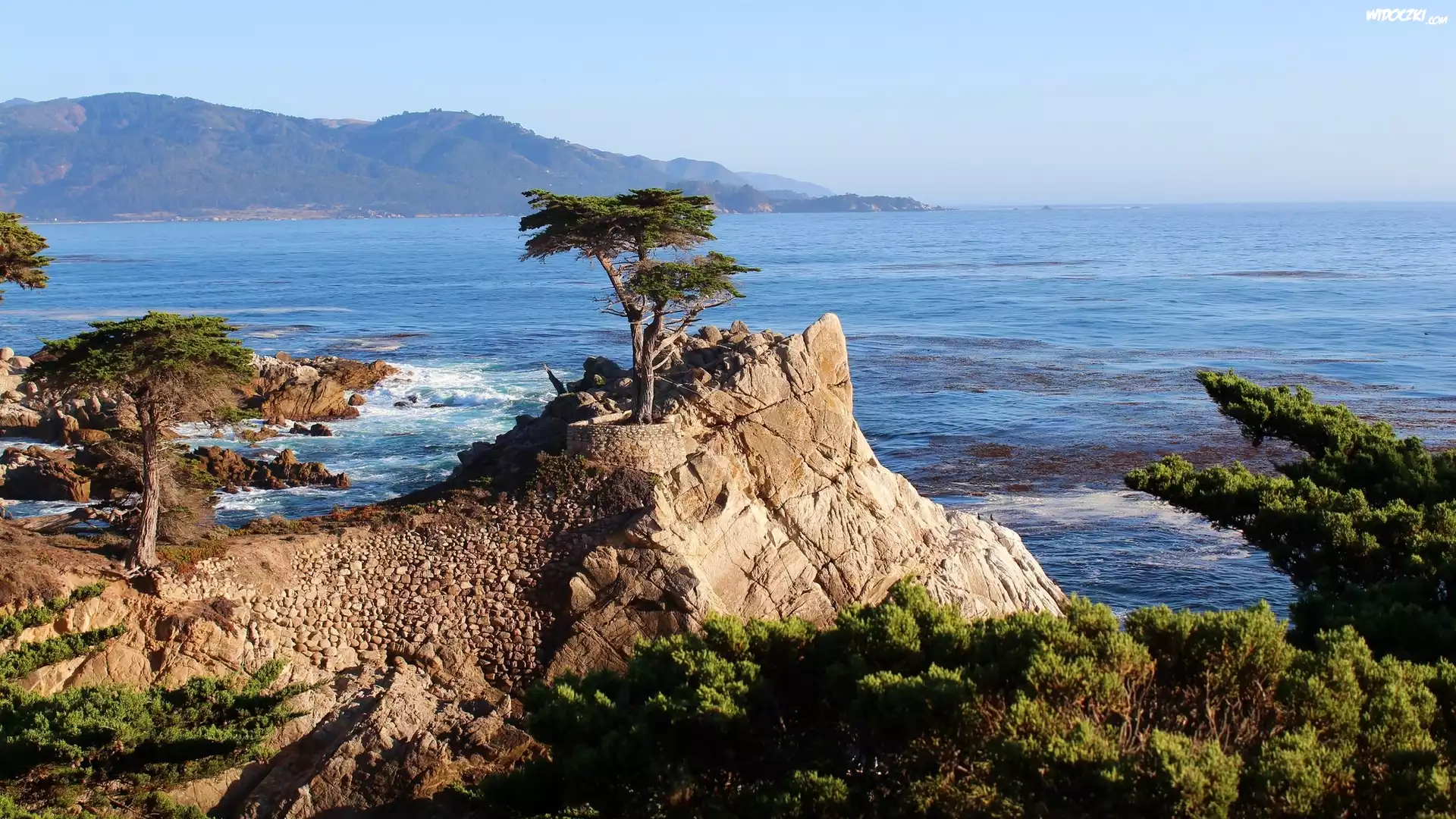 Skały, Drzewa, Cyprys wielkoszyszkowy, Atrakcja Lone Cypress, Pebble Beach, Zatoka Monterey, Morze, Kalifornia, Stany Zjednoczone
