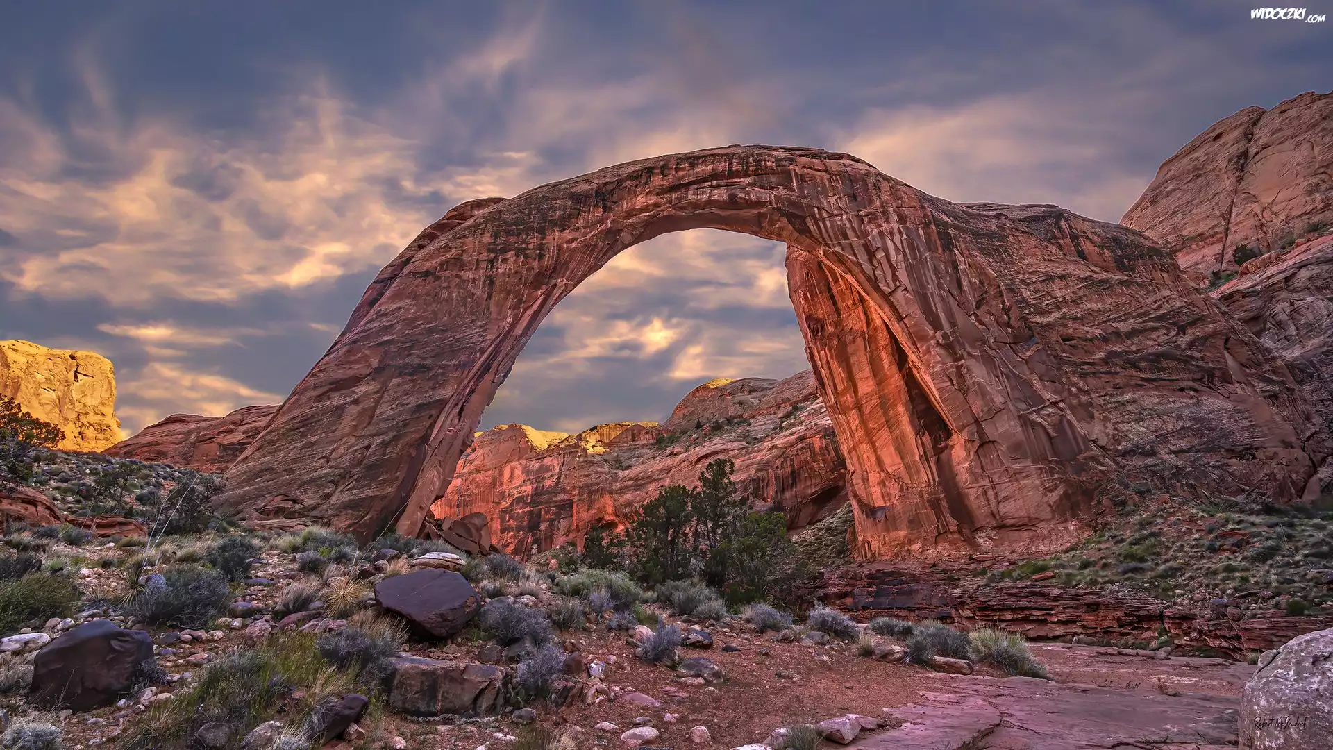 Skały, Łuk skalny, Kamienie, Rośliny, Rainbow Bridge, Utah, Stany Zjednoczone