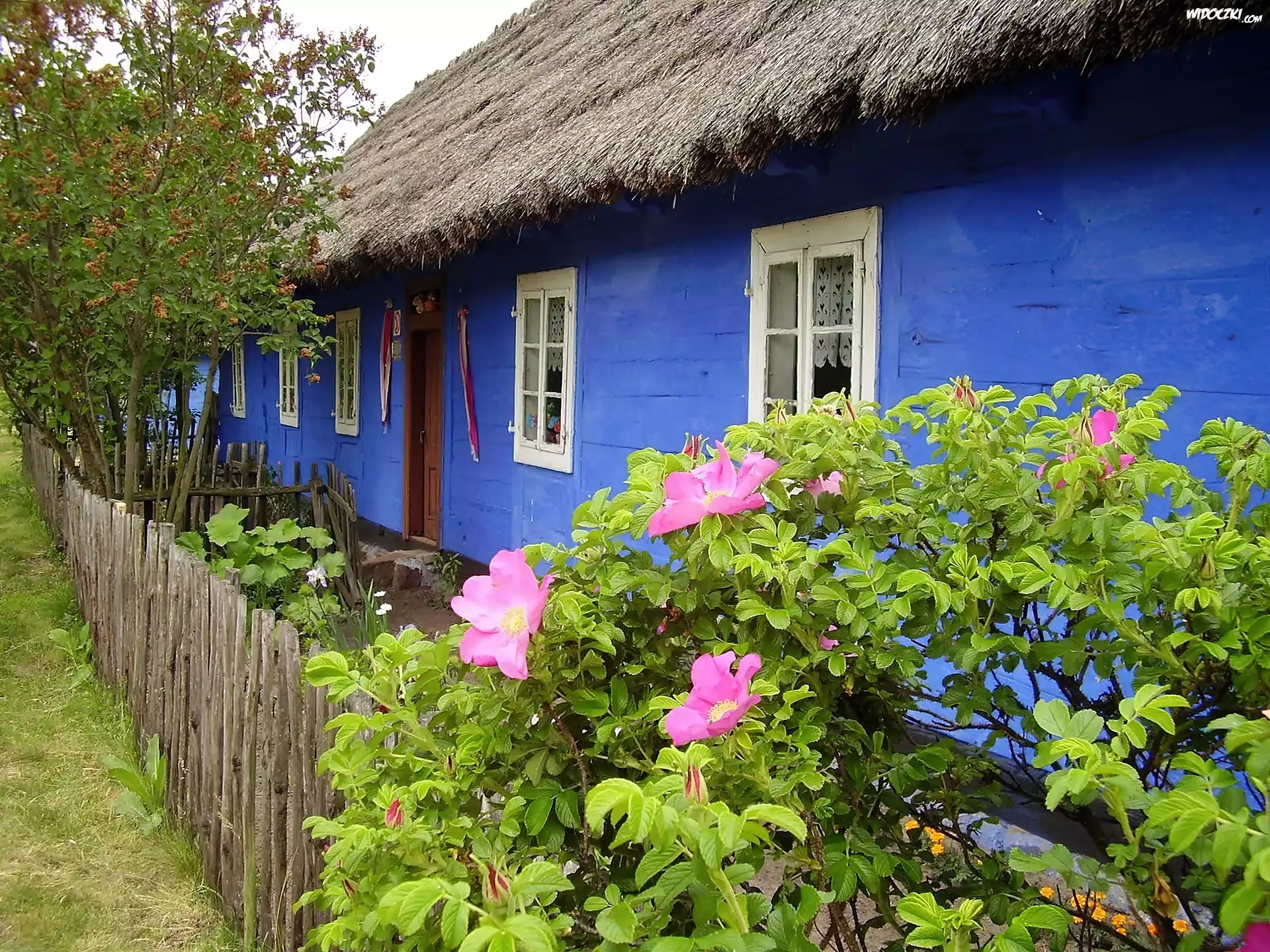 Skansen, Łowicki, Wiejska, Chata, Ogródek
