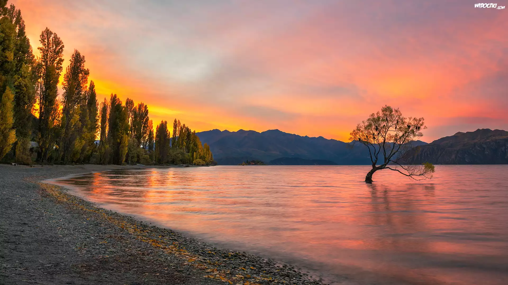 Jezioro Wanaka, Drzewa, Zachód słońca, Pochylone, Drzewo, Ptaki, Góry, Jesień, Region Otago, Nowa Zelandia
