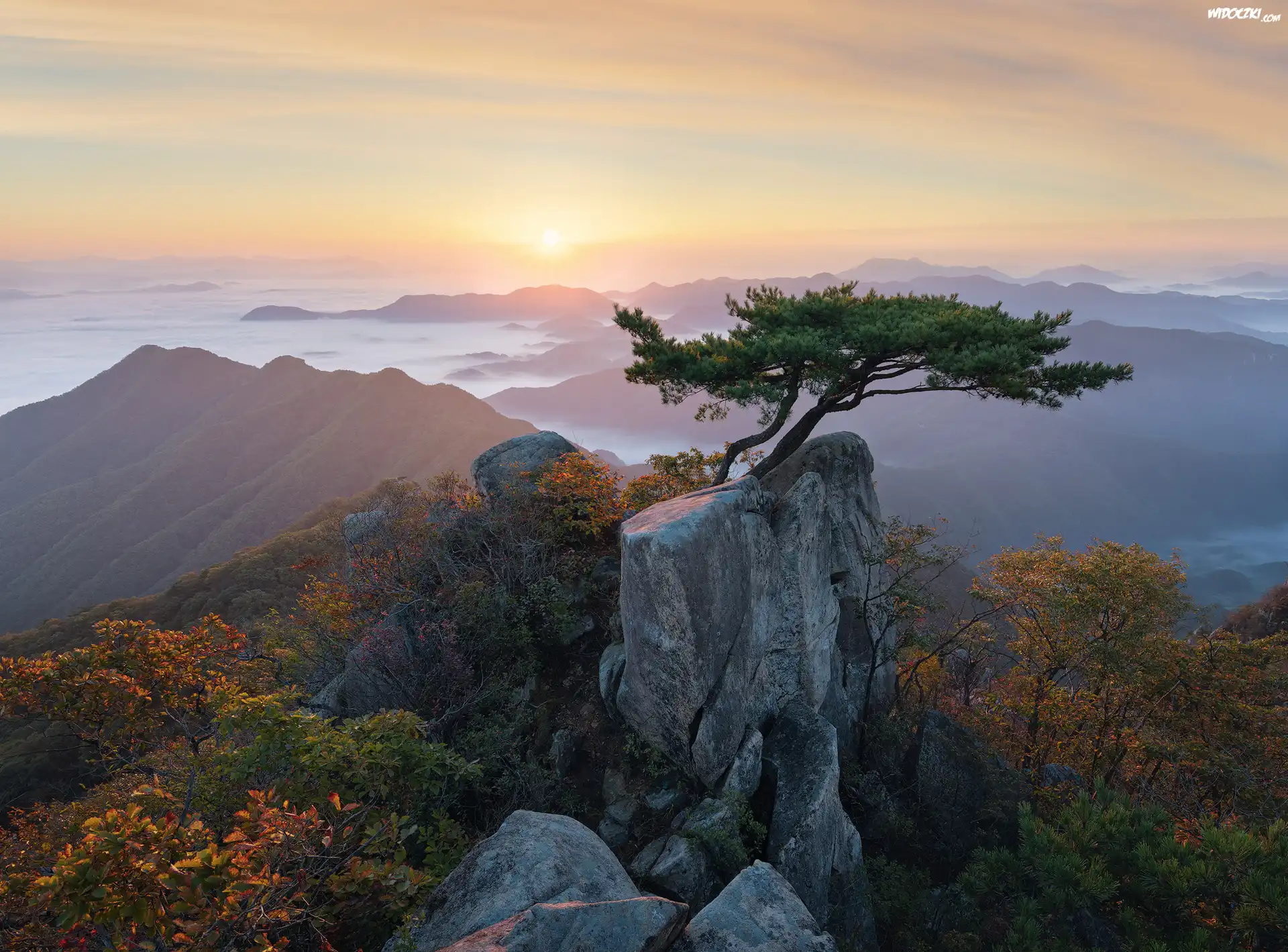Park Prowincjonalny Daedunsan, Wschód Słońca, Drzewa, Sosny, Góry, Mgła, Prowincja Jeolla Północna, Korea Południowa
