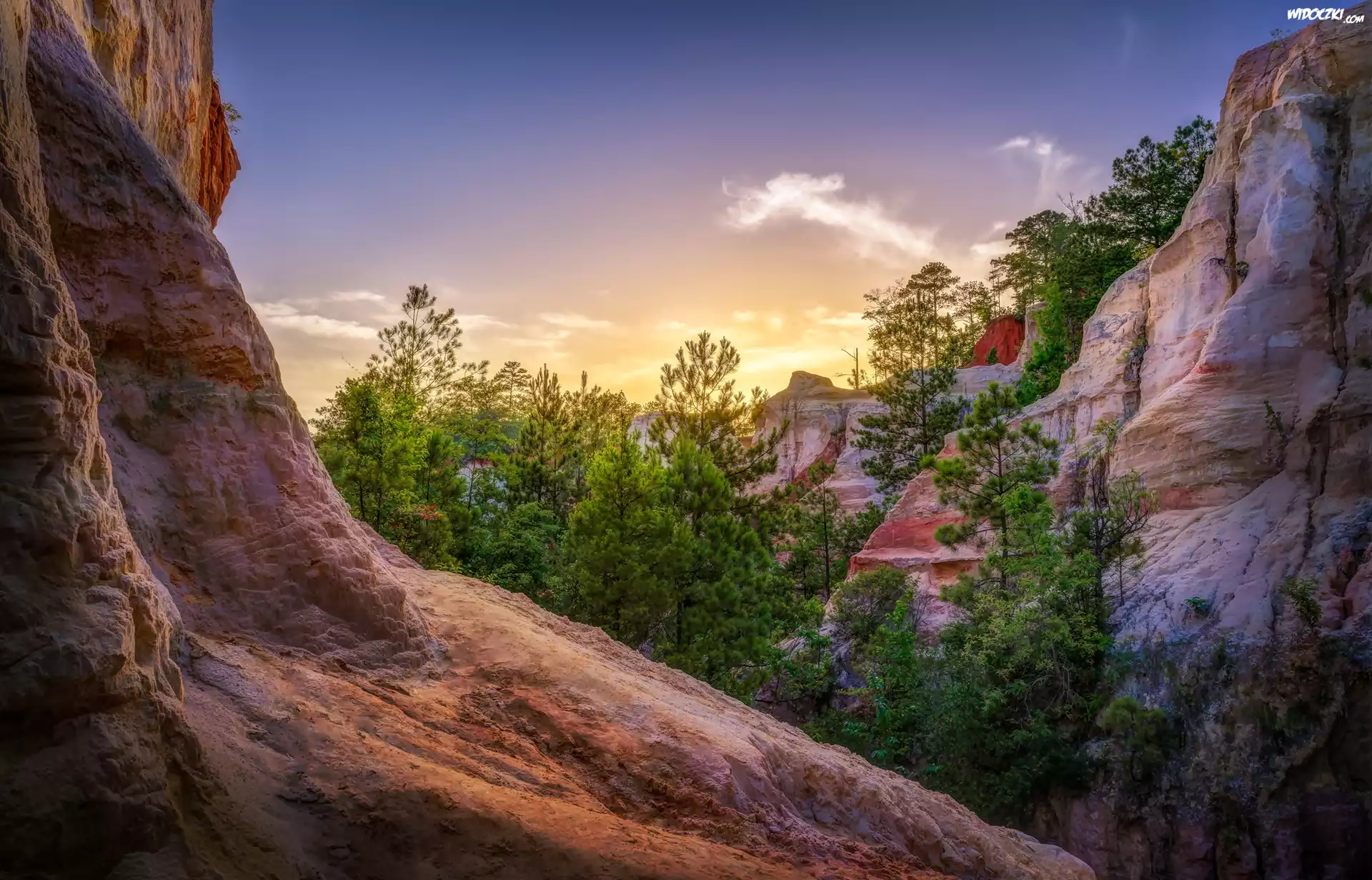 Stany Zjednoczone, Stan Georgia, Park stanowy Providence Canyon, Góry, Skały, Drzewa