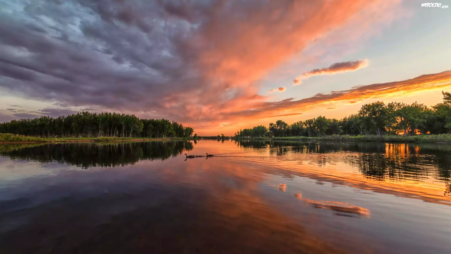 Stany Zjednoczone, Kolorado, Park stanowy, Chatfield State Park, Jezioro, Chatfield Lake, Drzewa, Zachód słońca