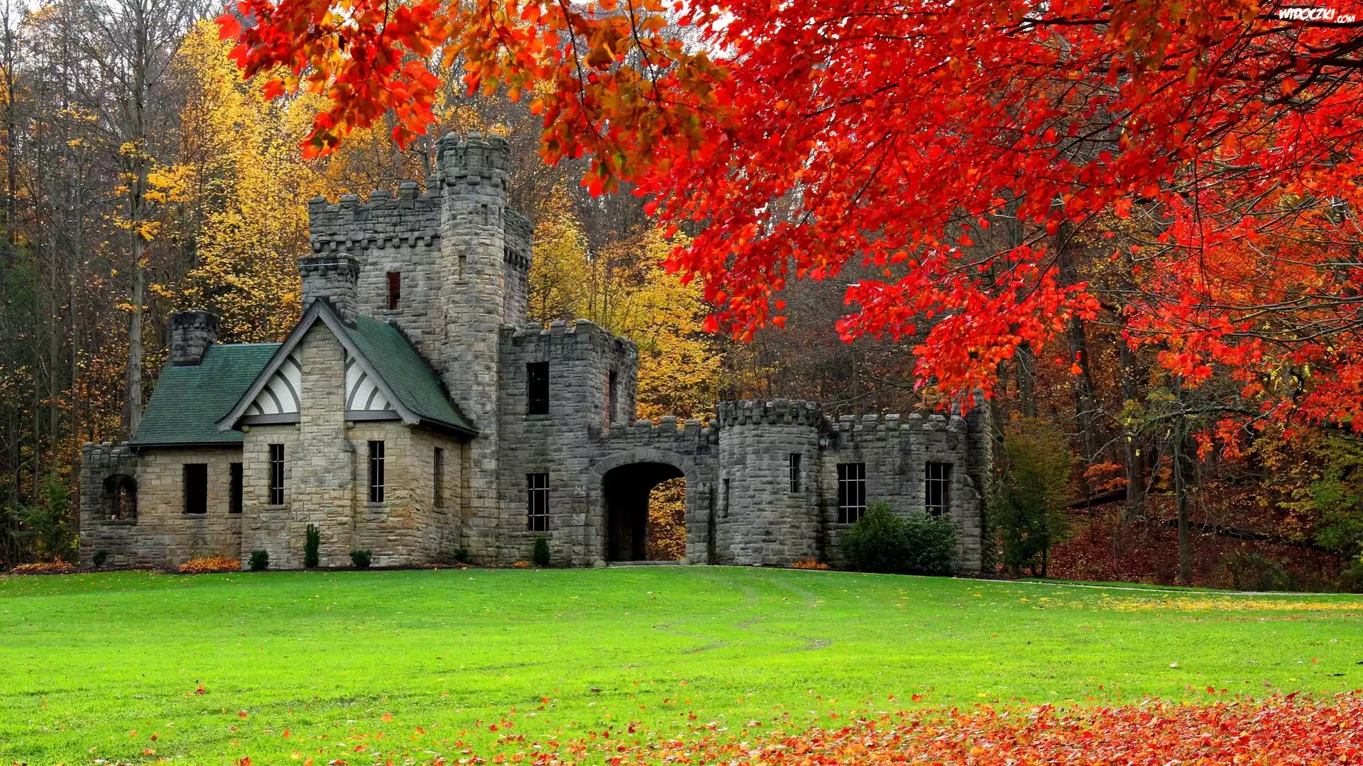 Stany Zjednoczone, Stan Ohio, Miasto Willoughby Hills, Park North Chagrin Reservation, Squires Castle - Zamek Giermka, Jesień, Drzewa