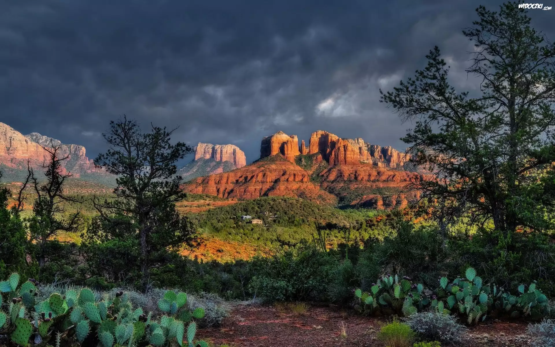 Stany Zjednoczone, Arizona, Sedona, Skały, Cathedral Rock, Drzewa, Chmury, Kaktusy