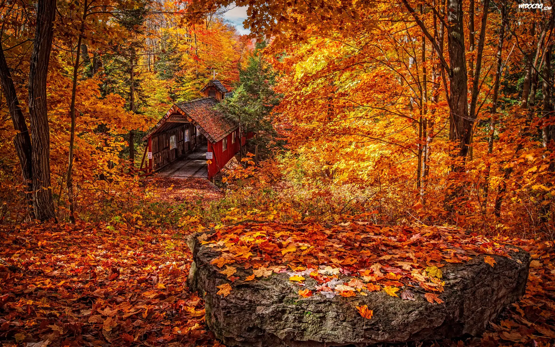 Stany zjednoczone, Stan Michigan, Wieś Lake Ann, Most Joshuas Crossing Covered Bridge, Jesień, Las, Drzewa, Liście, Kamień