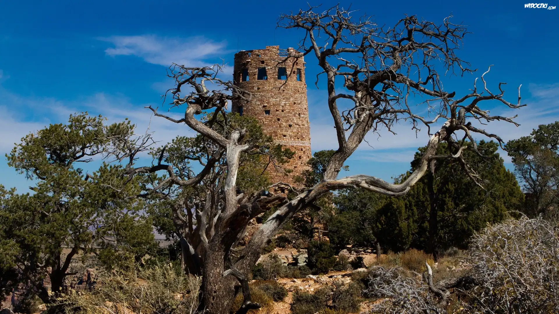 Stany Zjednoczone, Stan Arizona, Park Narodowy Wielkiego Kanionu, Wieża Desert View Watchtower, Niebo, Drzewa, Zarośla